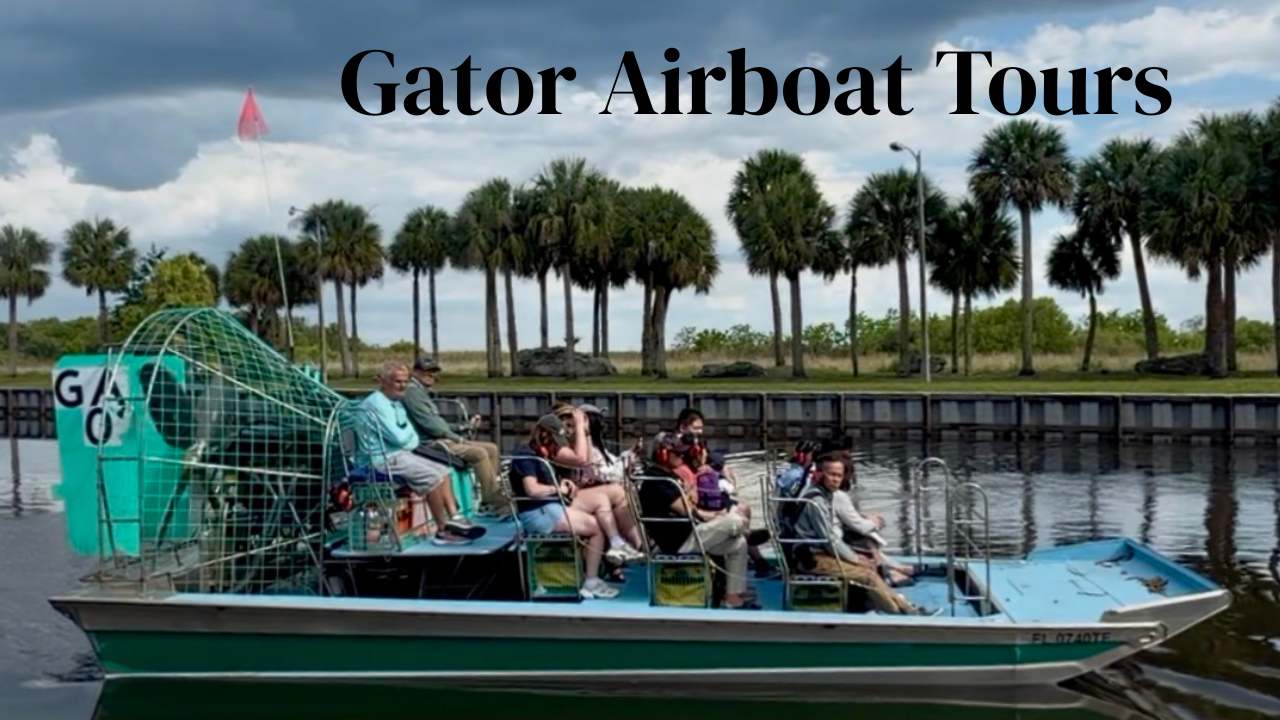 Things to Do in Orlando Besides Theme Parks: Gator Airboat Rides in Kissimmee