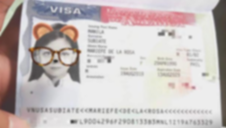 Close-up of a visa document with a cartoon bear wearing glasses illustration.