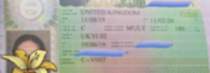 A green train ticket with details blurred out and a partially visible orange flower sticker in the lower left corner.