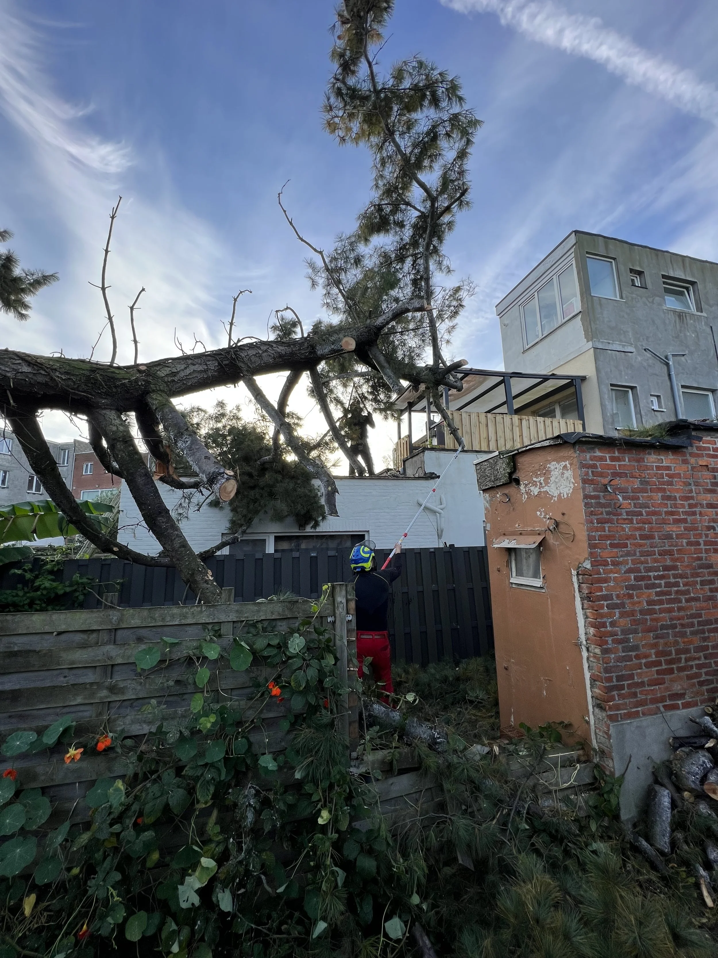Opruimen van stormschade