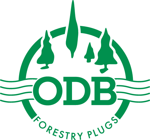 ODB Forestry Plugs