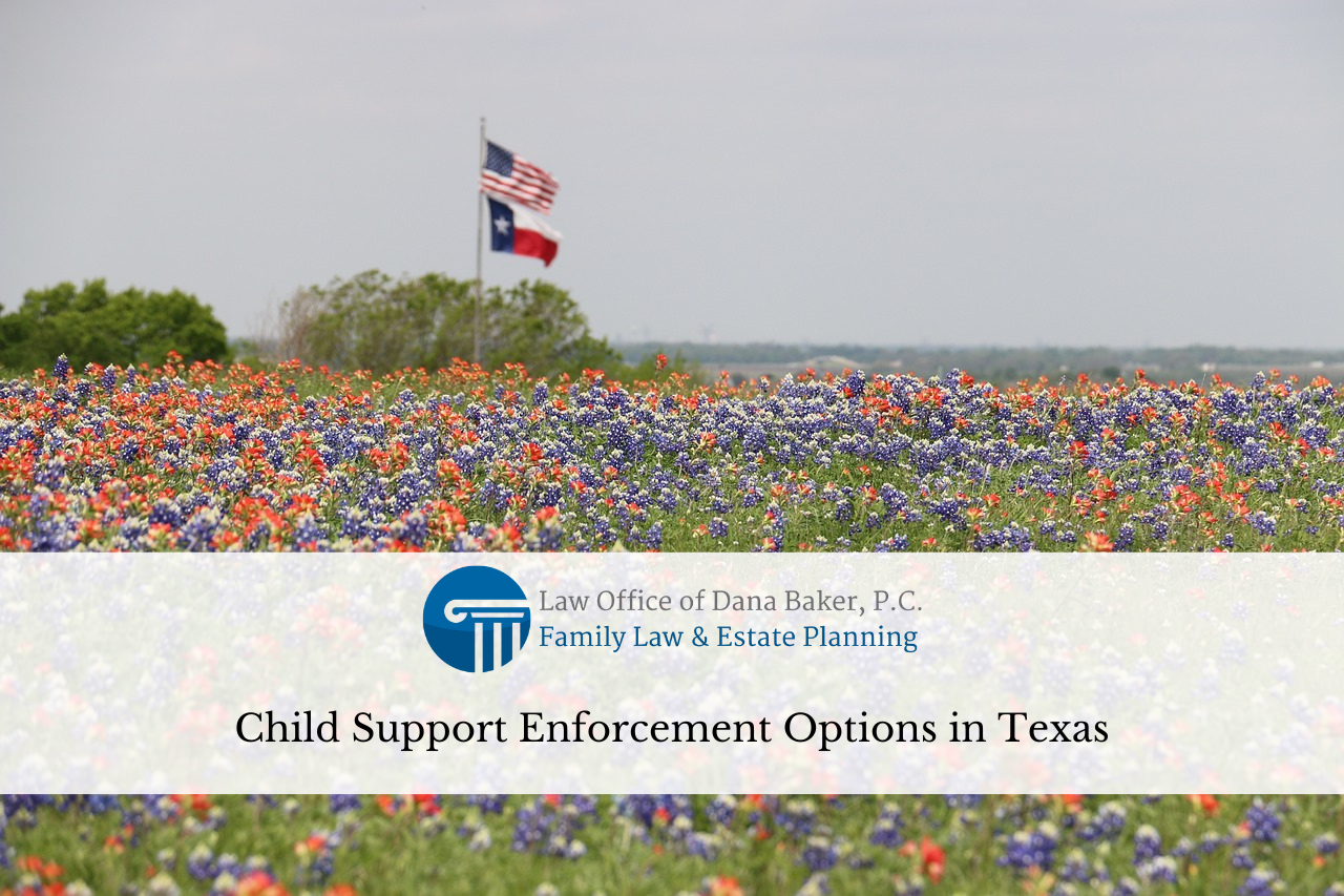 Child Support Enforcement Options in Texas