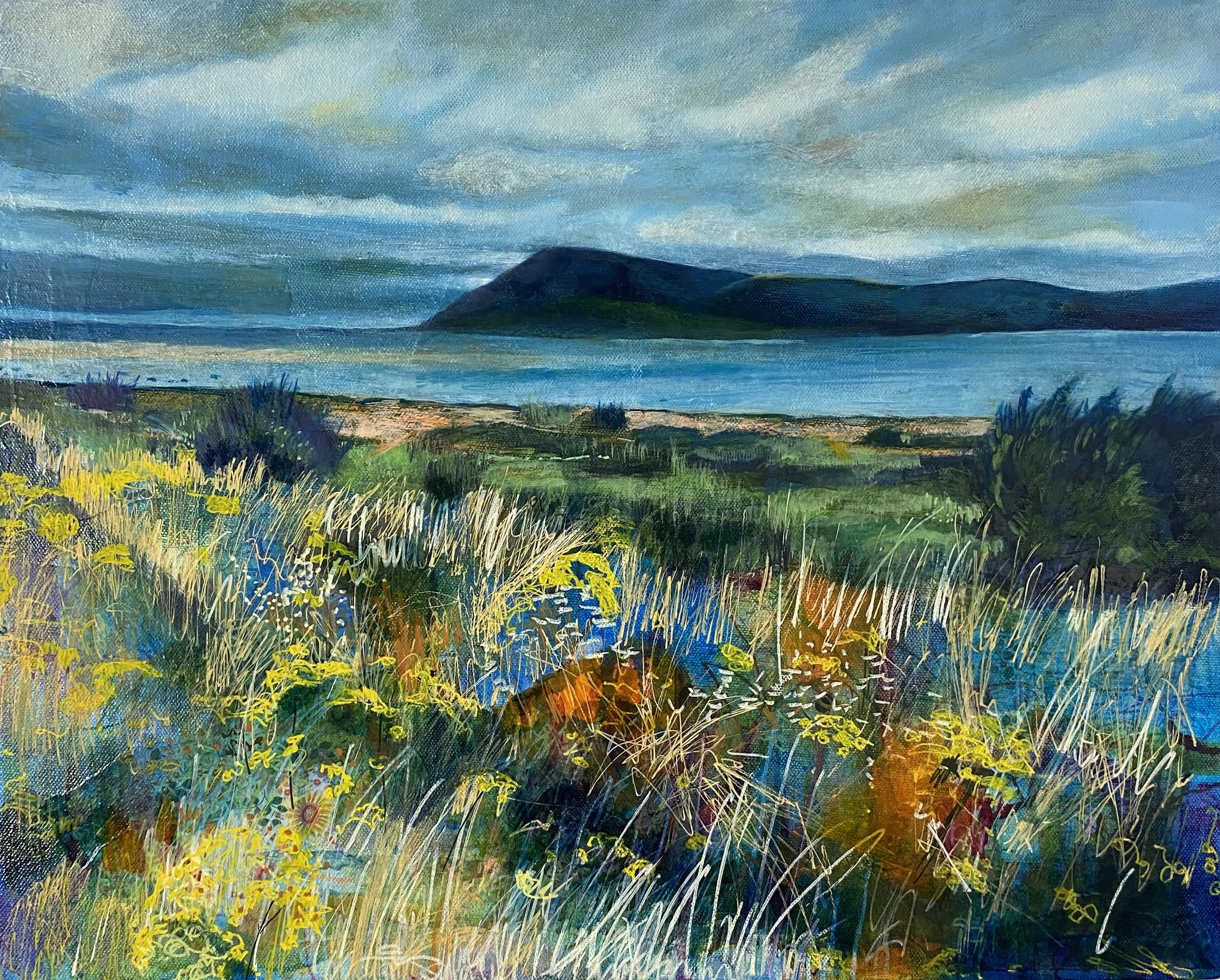 Through the Shrubland.jpeg