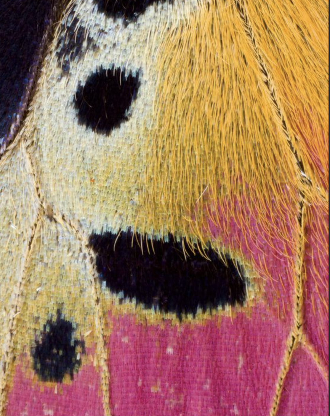 Screenshot 2025-08-26 at 3.46.07 PM.png