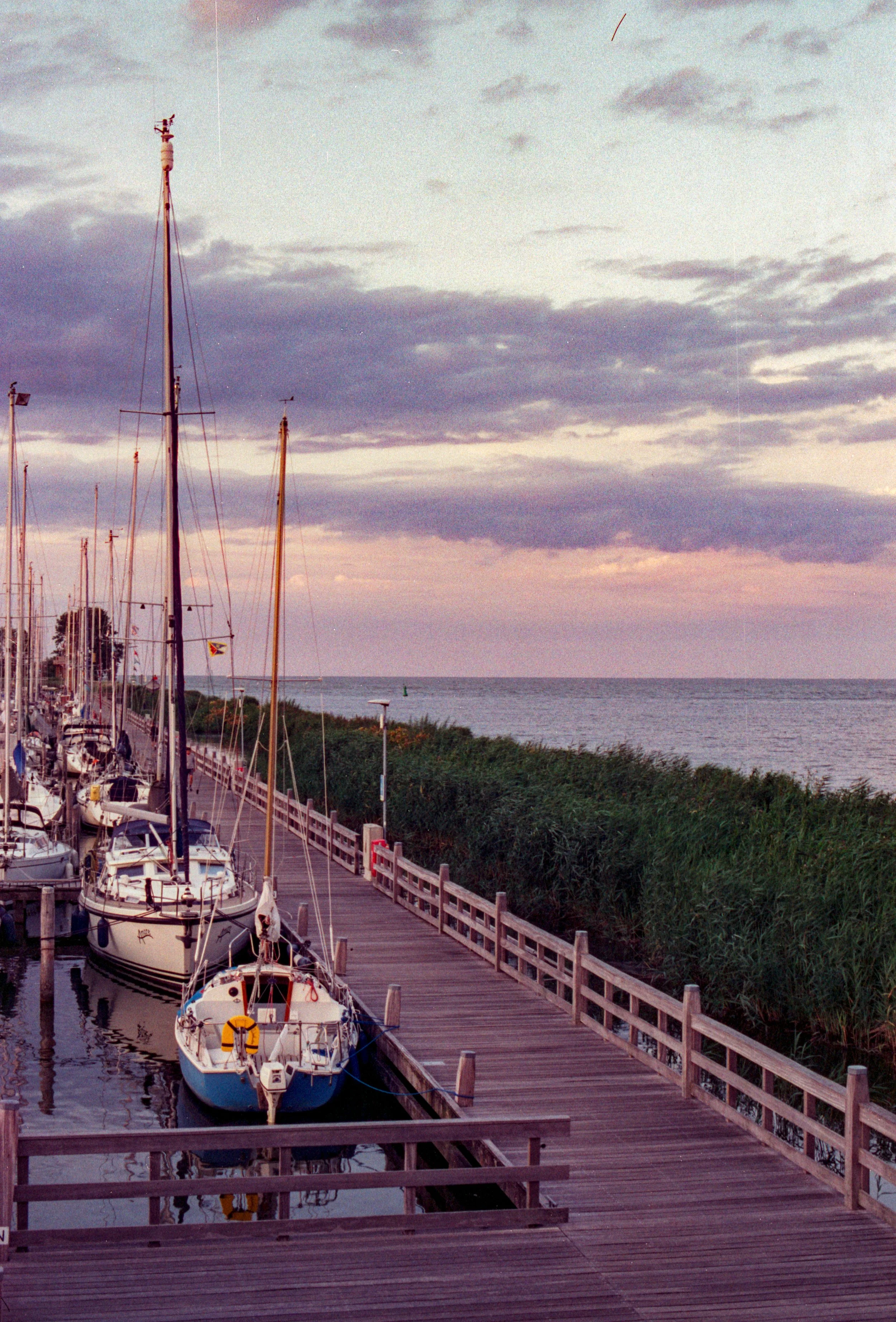 Kodak Gold Juni 2025-61.jpg