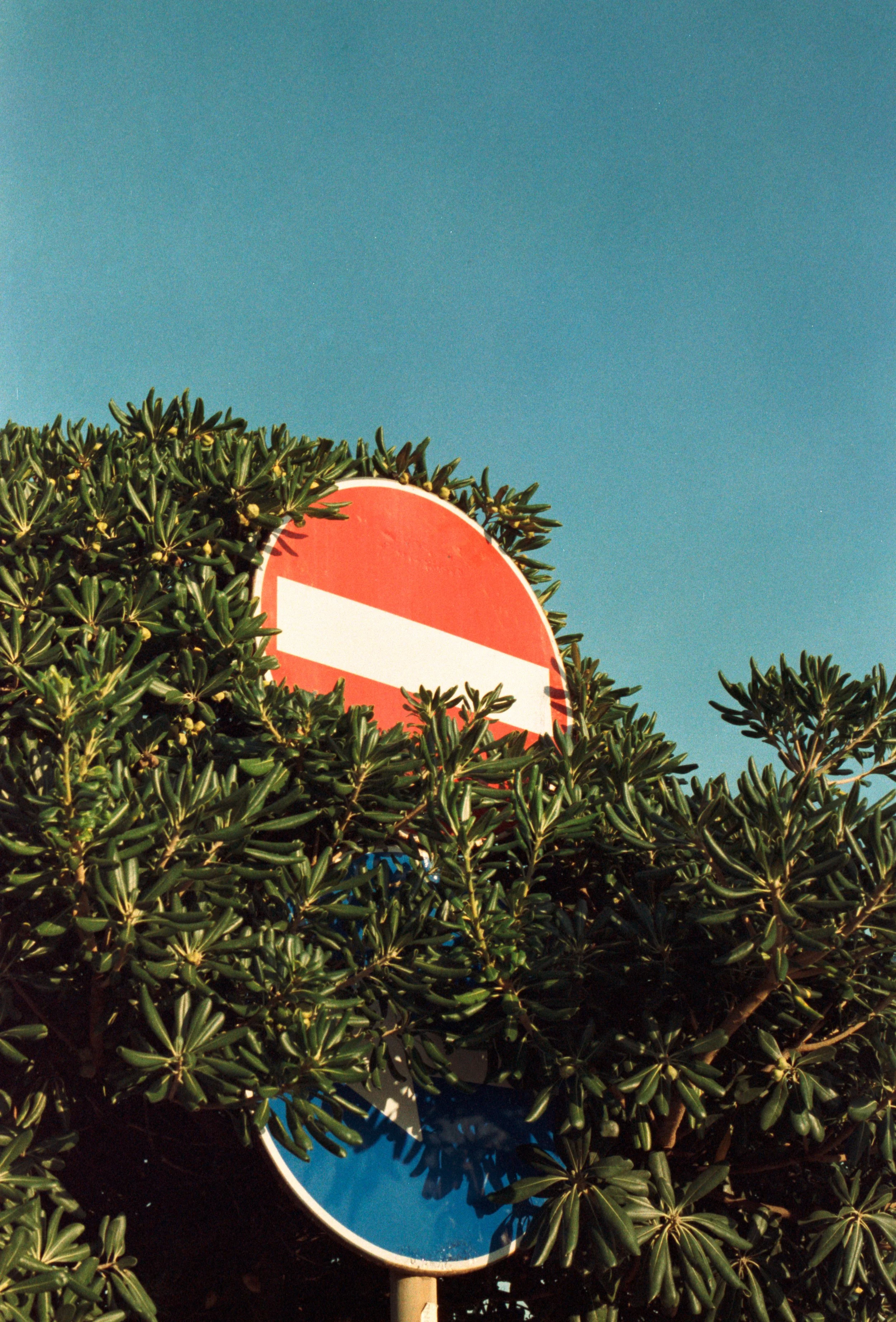 LR Edits DM Paradieswelt 100 Der Sonnenfilm-16.jpg