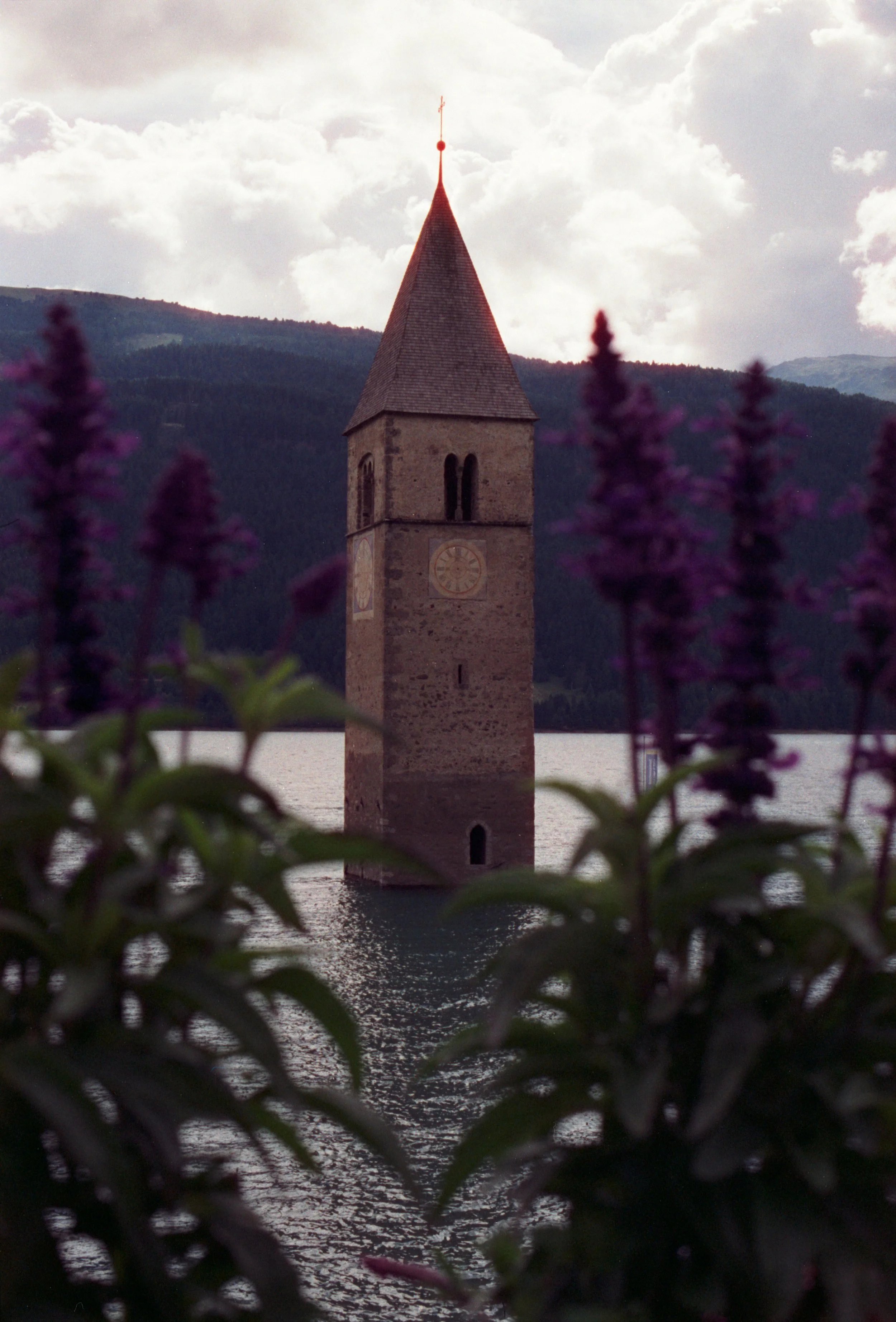 Kodak Gold Juni 2025-42.jpg