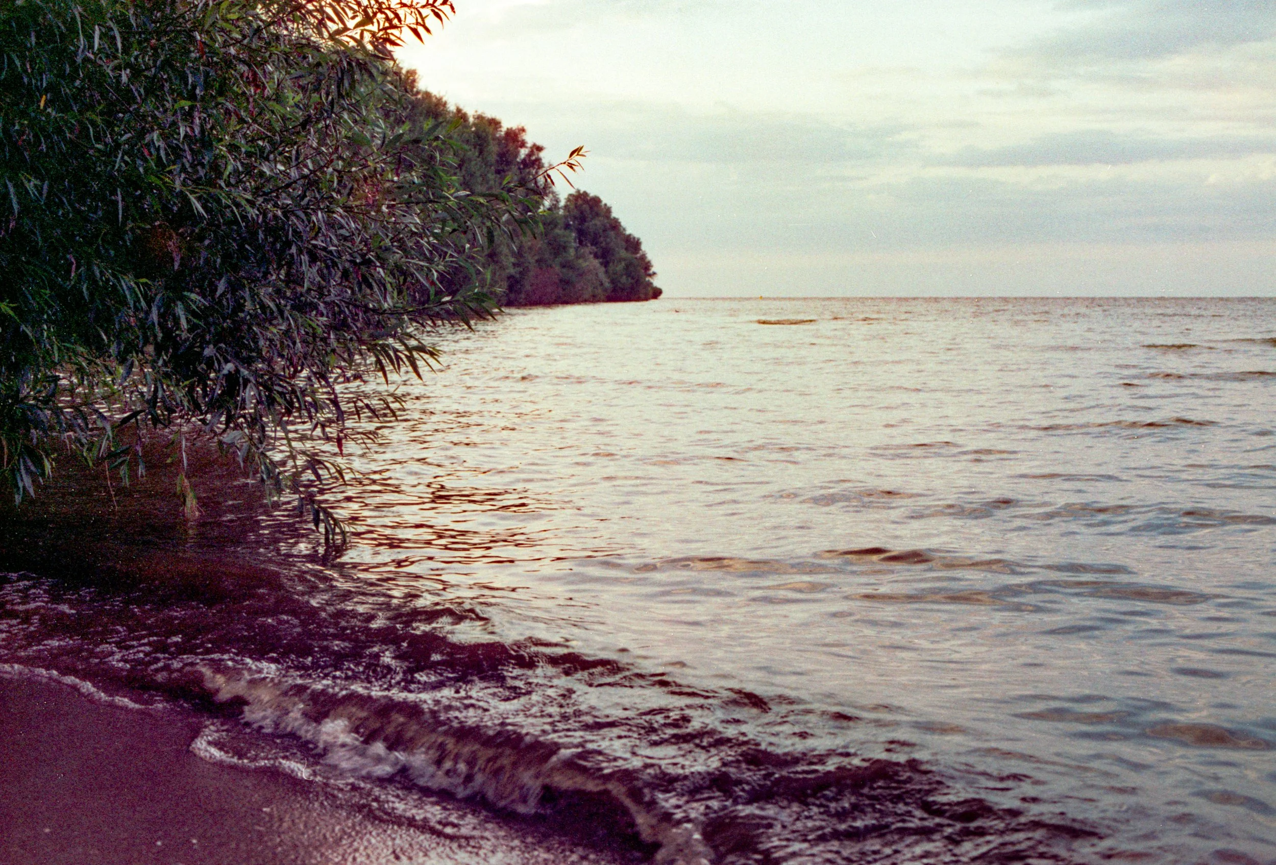 Kodak Gold Juni 2025-67.jpg