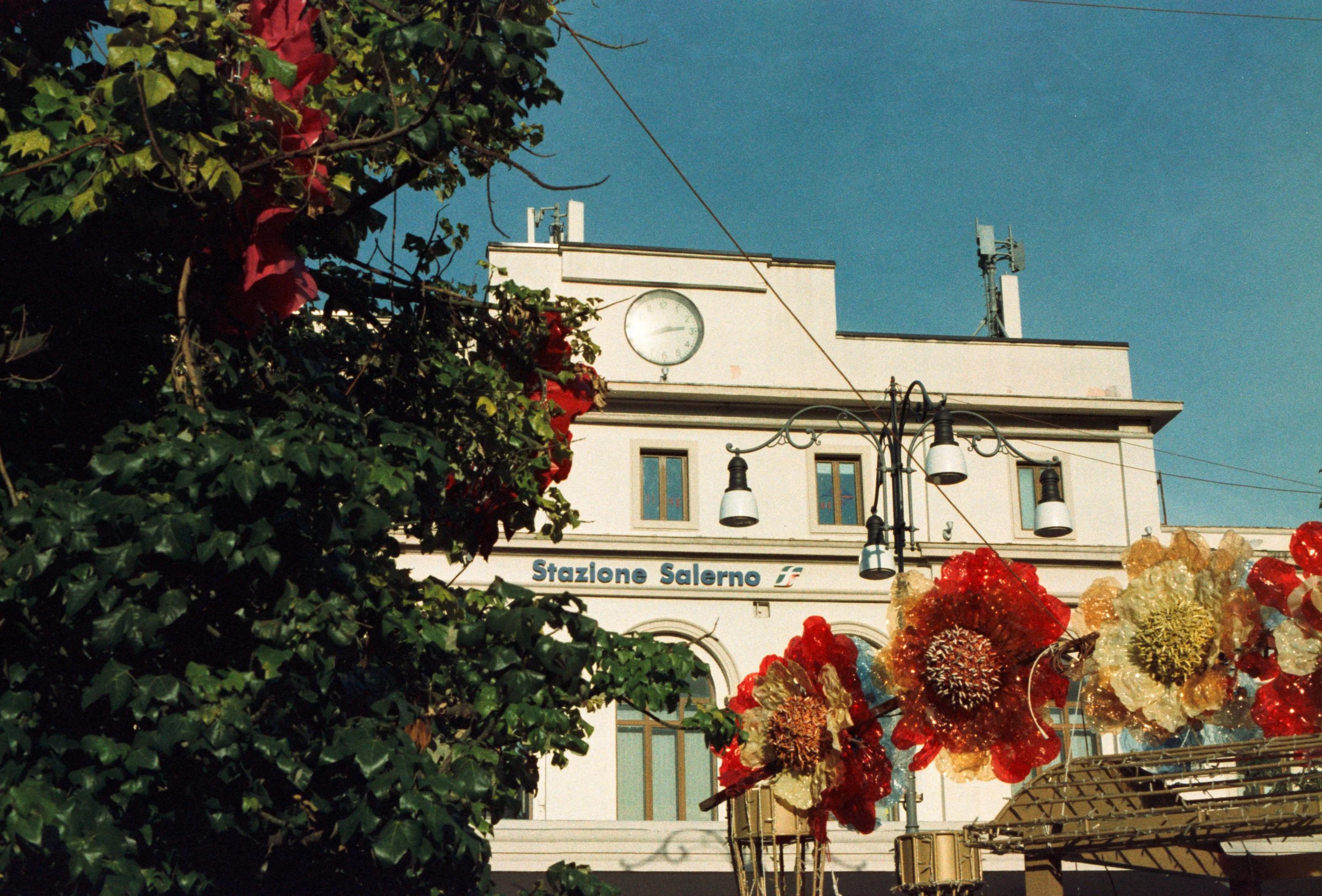 LR Edits DM Paradieswelt 100 Der Sonnenfilm-26.jpg