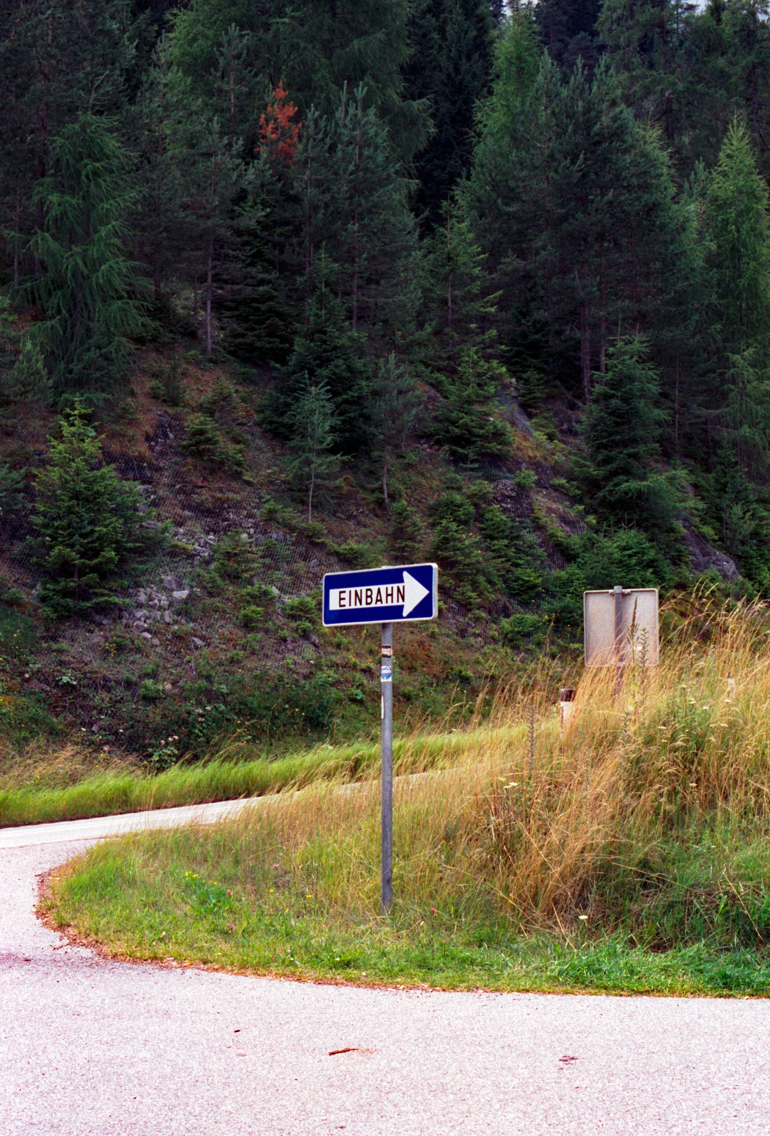 Kodak Gold Juni 2025-50.jpg