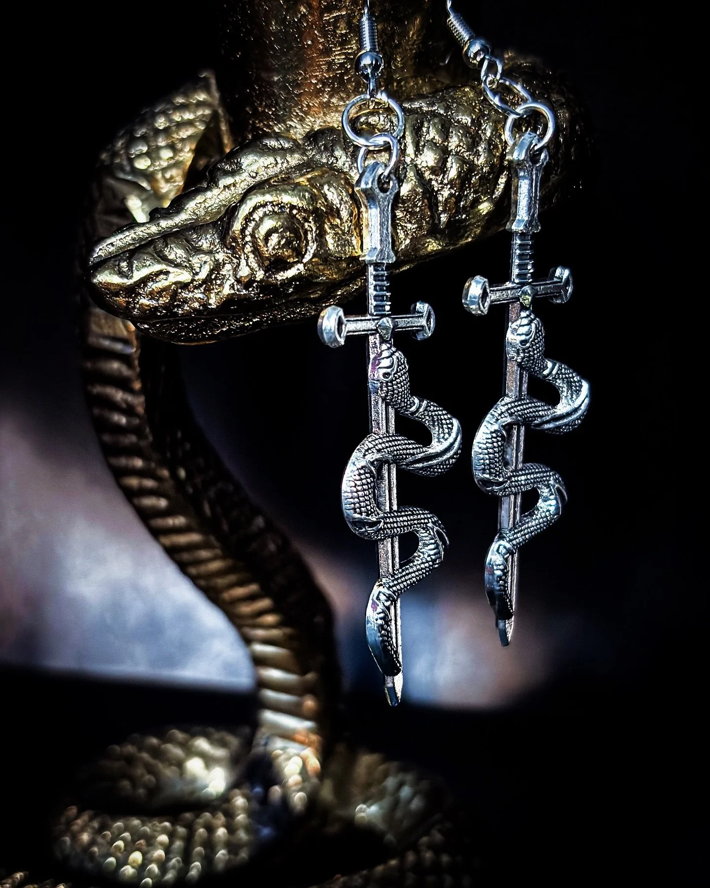 A little custom work for Cobra Force 🐍⚔️

These earrings are a reimagined version of our Veneficus Ensis design, created exclusively for the band. A serpent wrapped around a sword, finished in silver &ndash; sharp, dark, and symbolic.

Every member 
