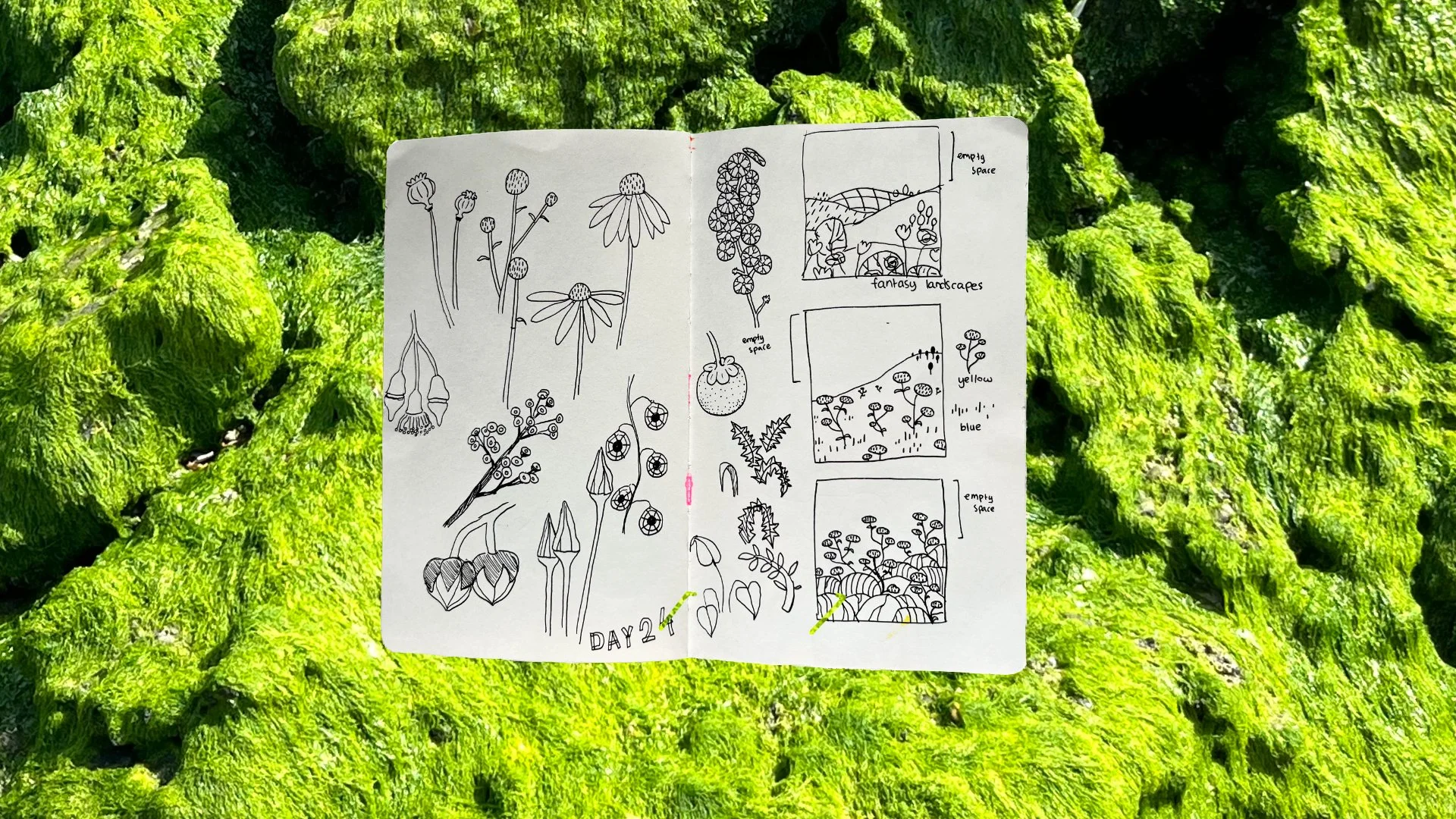 Looking at flowers and plants, trying to draw them in a few simple but defined lines. Medium sketchbook, used fineliner.