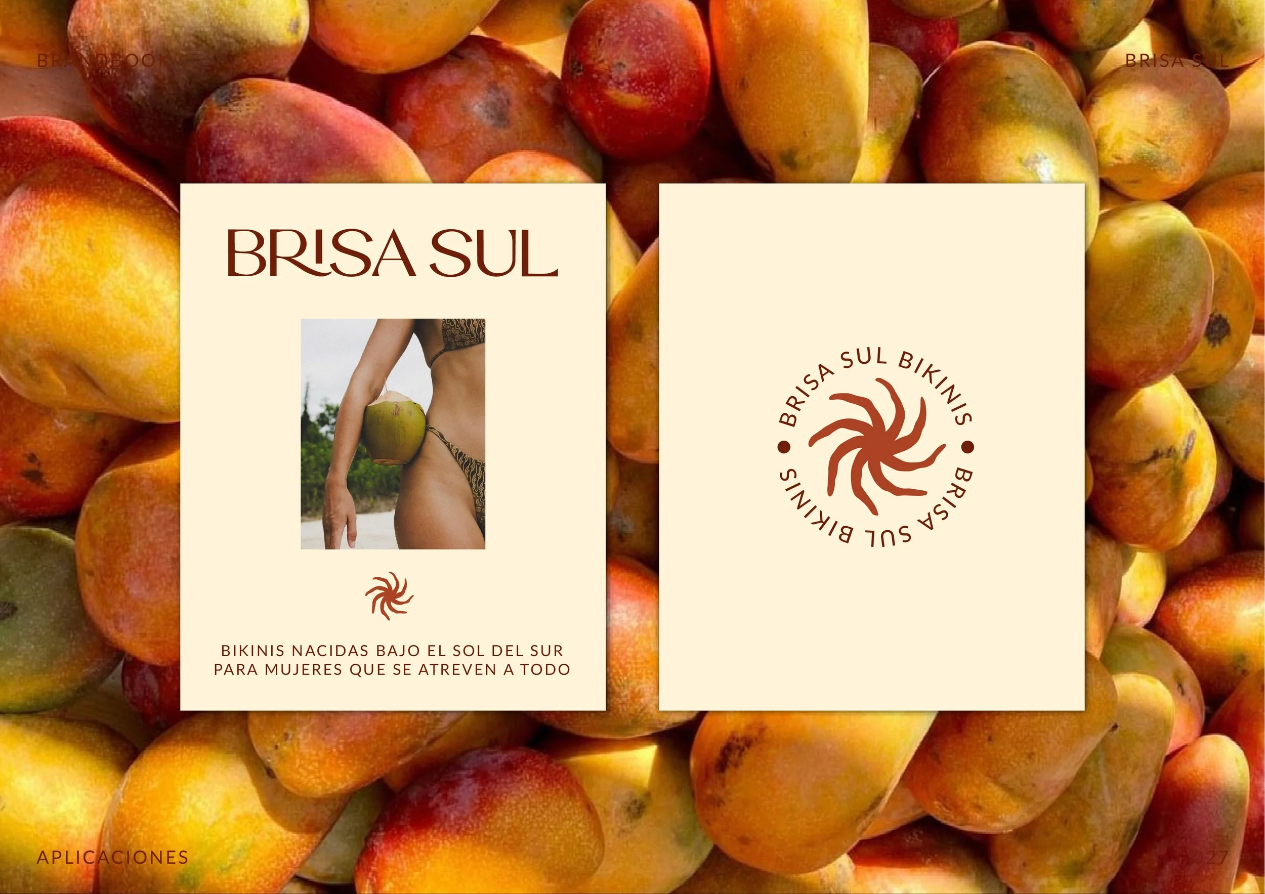 BRANDBOOK BRISA SUL-28.jpg