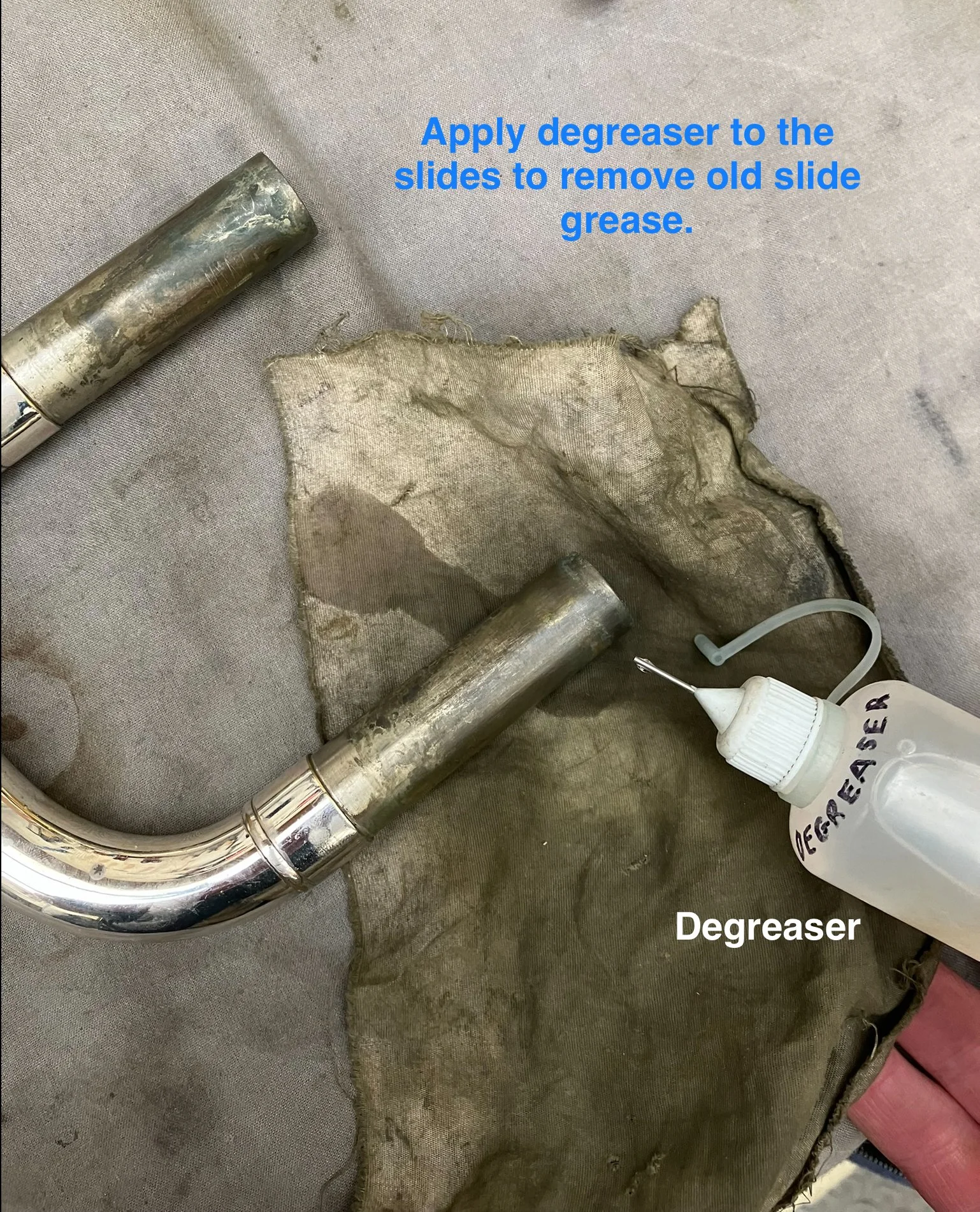 IMG_1646.jpeg