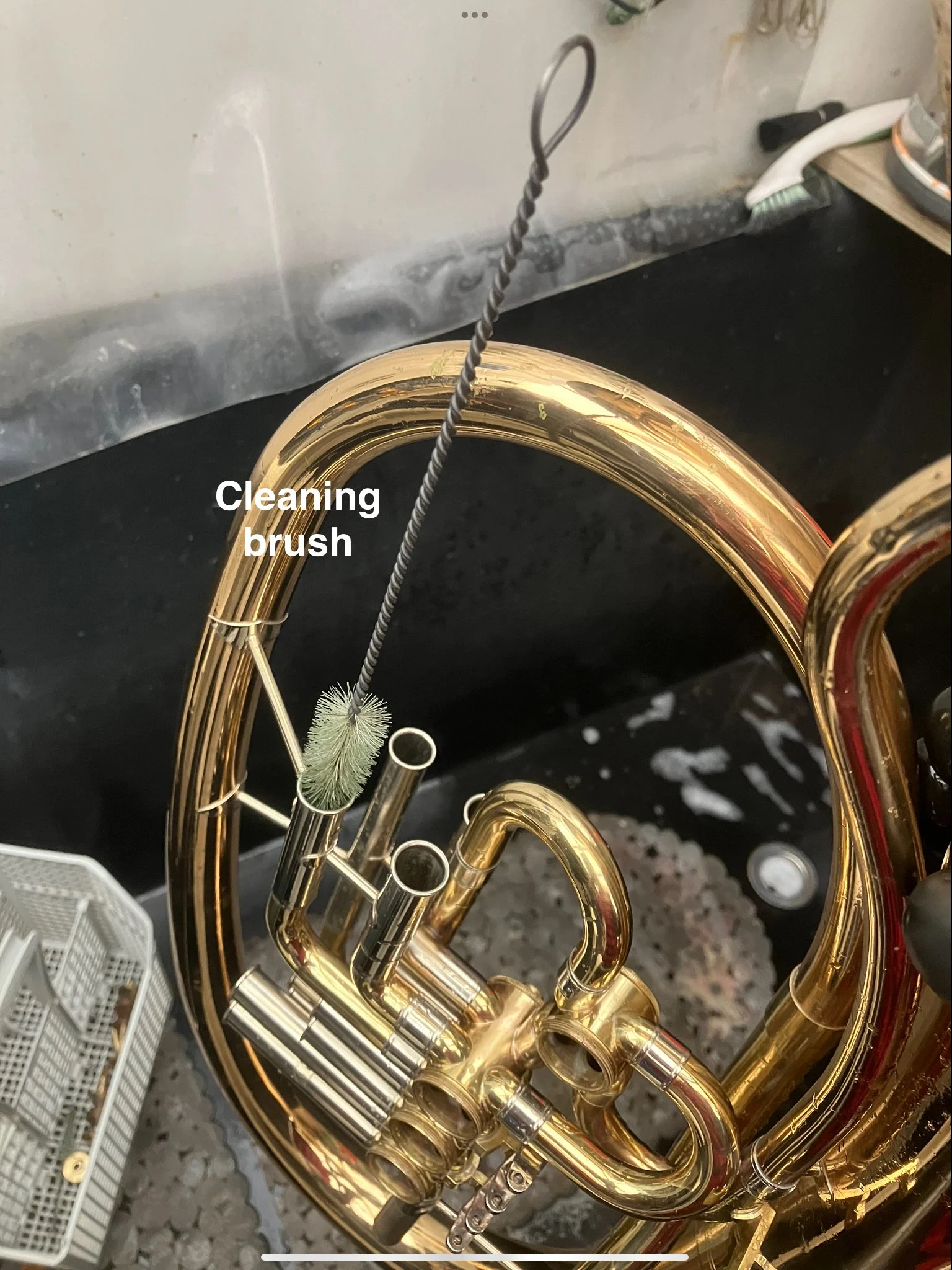 IMG_1560.jpeg