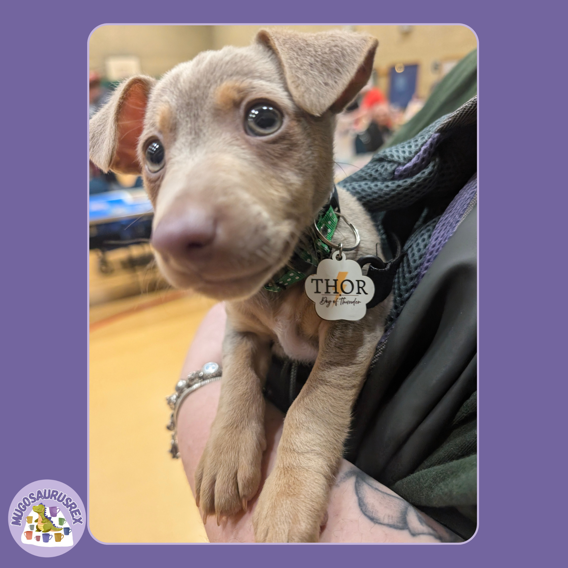 Pet Collar Tag - Bespoke Design