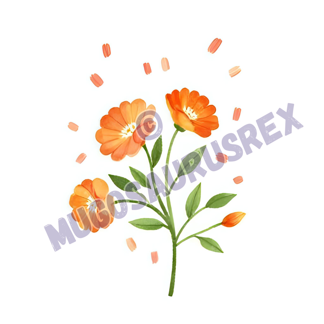 Floral Collection #6