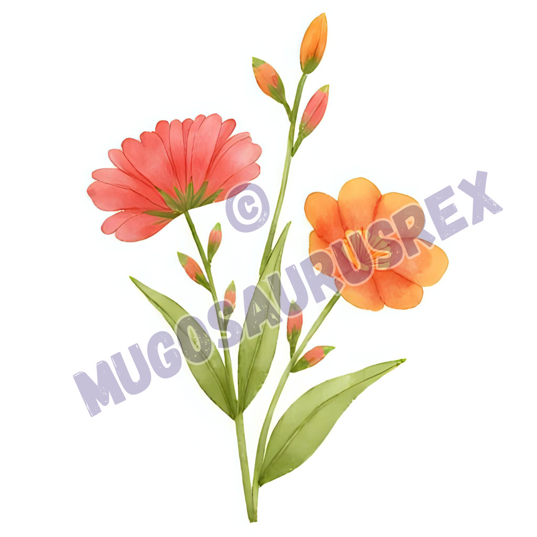 Floral Collection #1