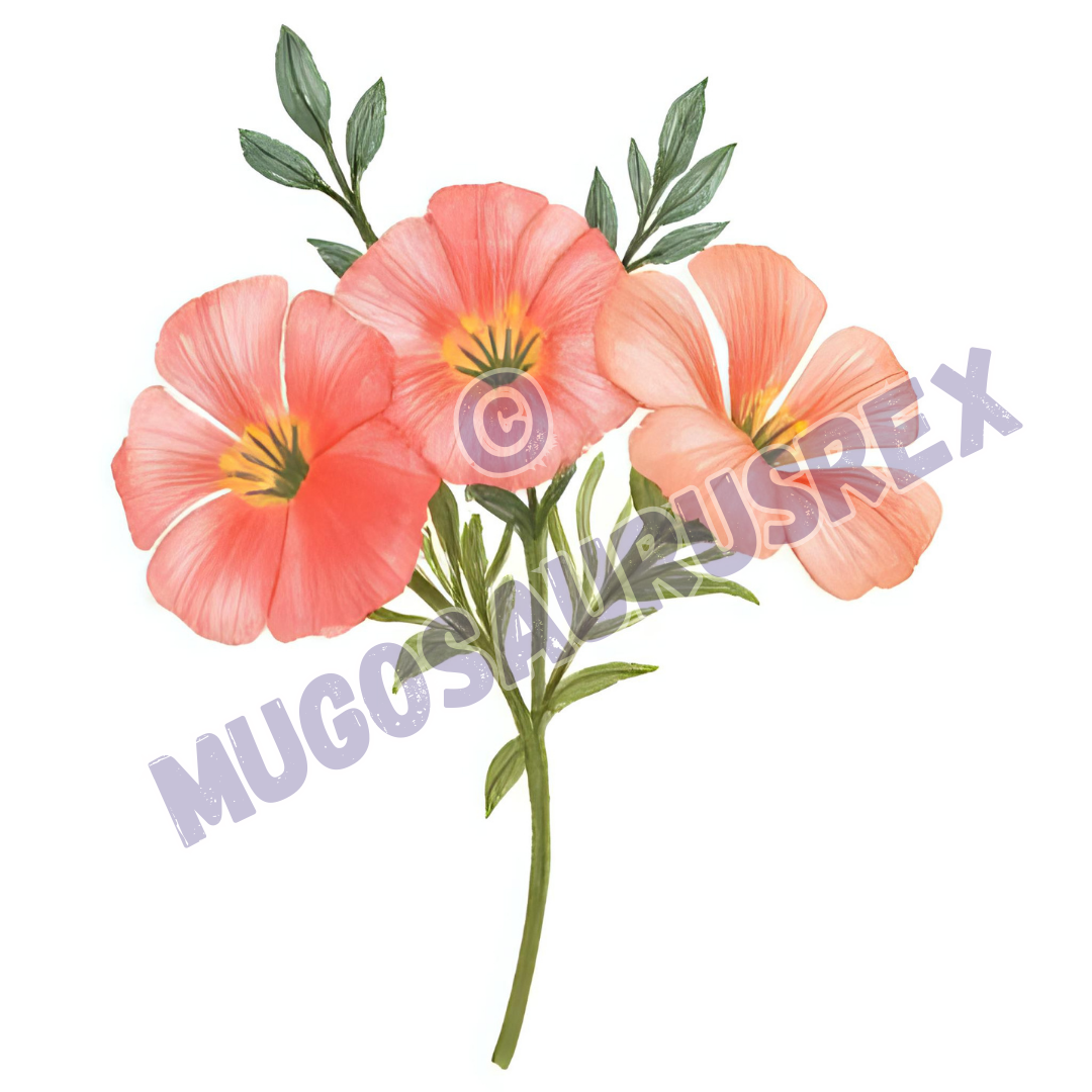 Floral Collection #4