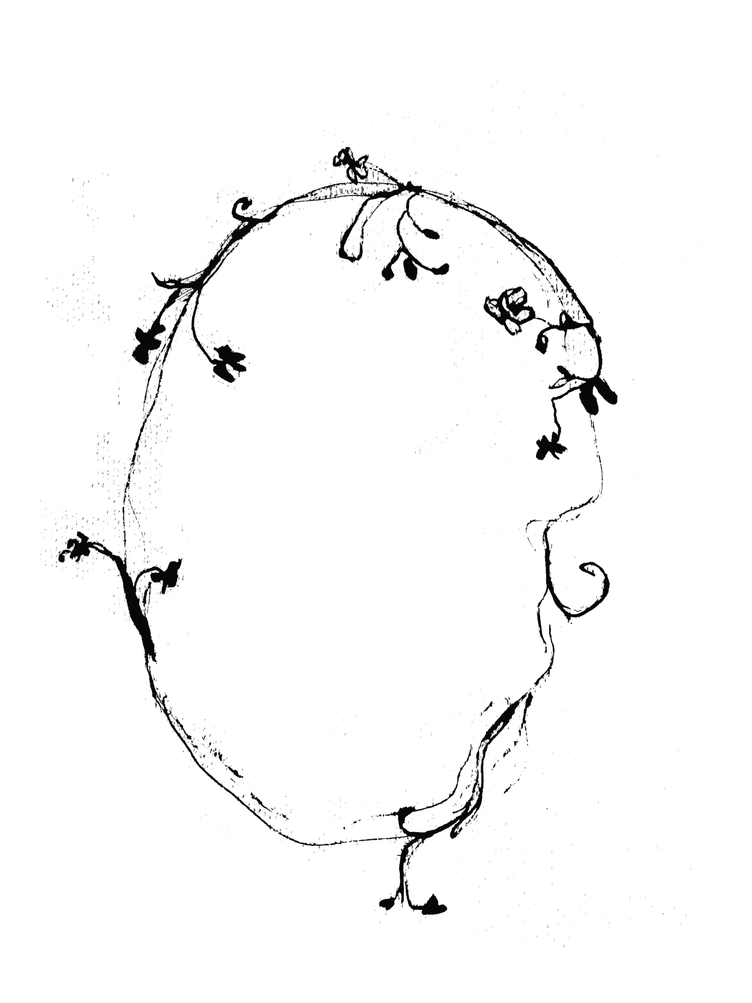 tp-floral-border.jpg