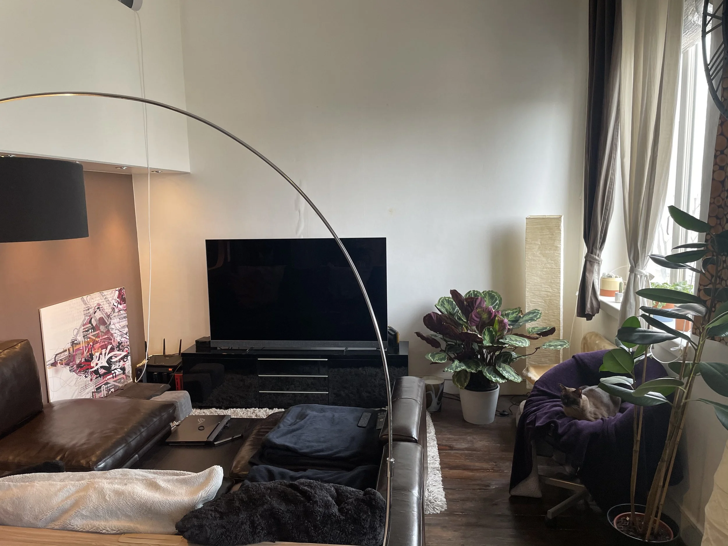 Photo 18-02-2021 13 54 40.jpg