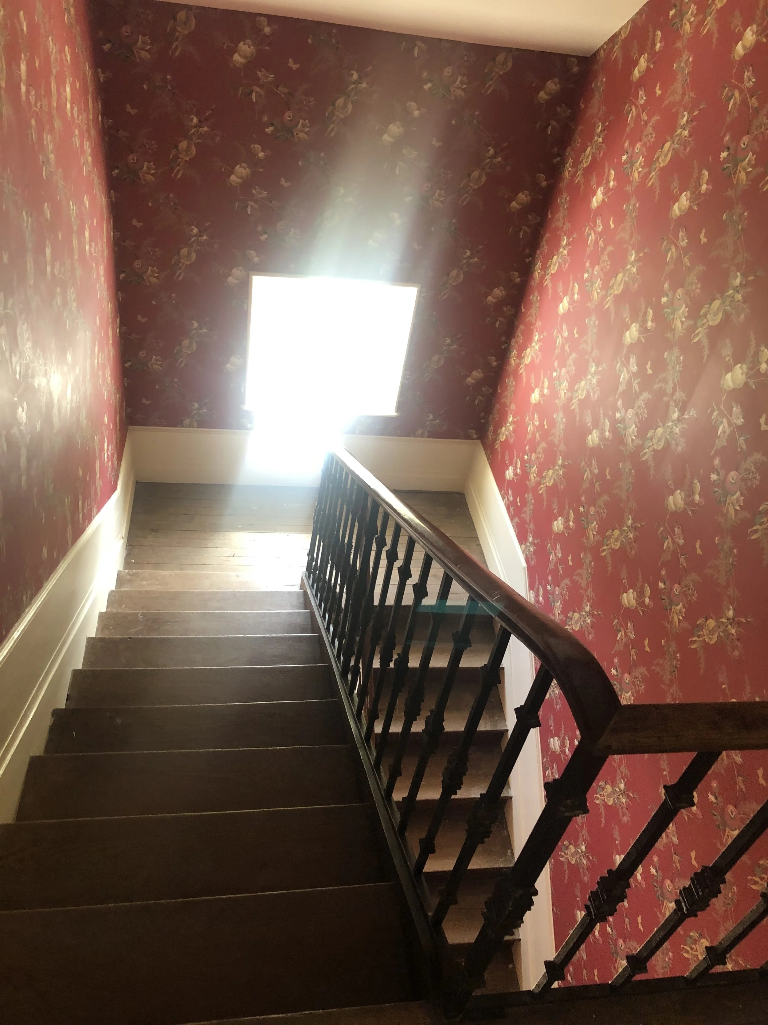 Photo 16-04-2020 13 56 40.jpg