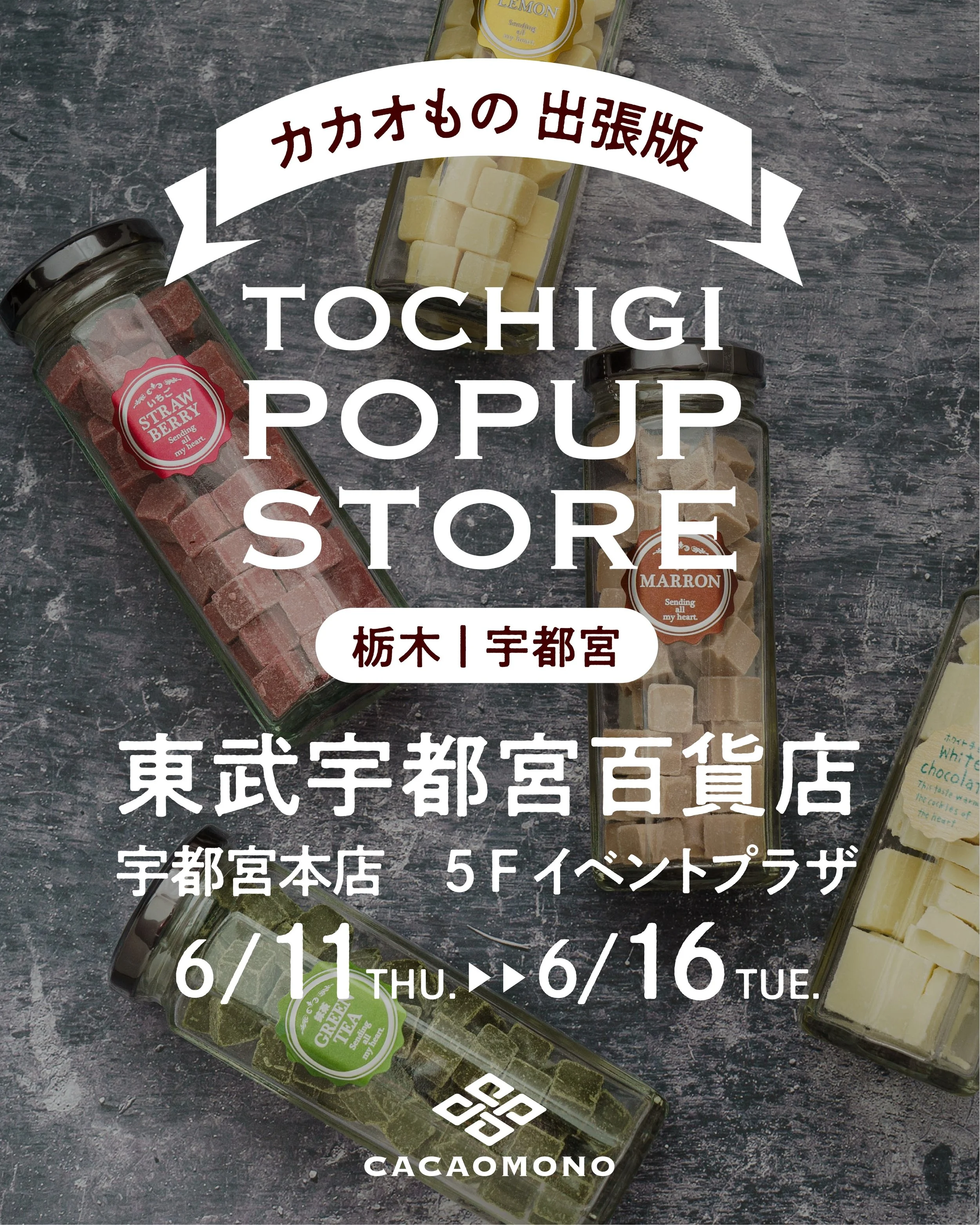 みなさん、こんにちは！カカオものです🍫
4月に出店させていただいた東武宇都宮百貨店さまに、
今年2回目の出張販売中です✨

前回タイミングが合わなかった方も、
もう一度食べたい！と思ってくださる方も
ぜひこの機会に遊びにきてもらえると嬉しいです☺️

前回とは違う味を試してみたり、
お気に入りの味をもう一度楽しんだり🤗
自分にぴったりのカカオものおやつを
見つけに来てください🍫

お近くのみなさまにお会いできるのを
楽しみにしております✨

📍東武宇都宮百貨店 宇都宮本店
5F イベント