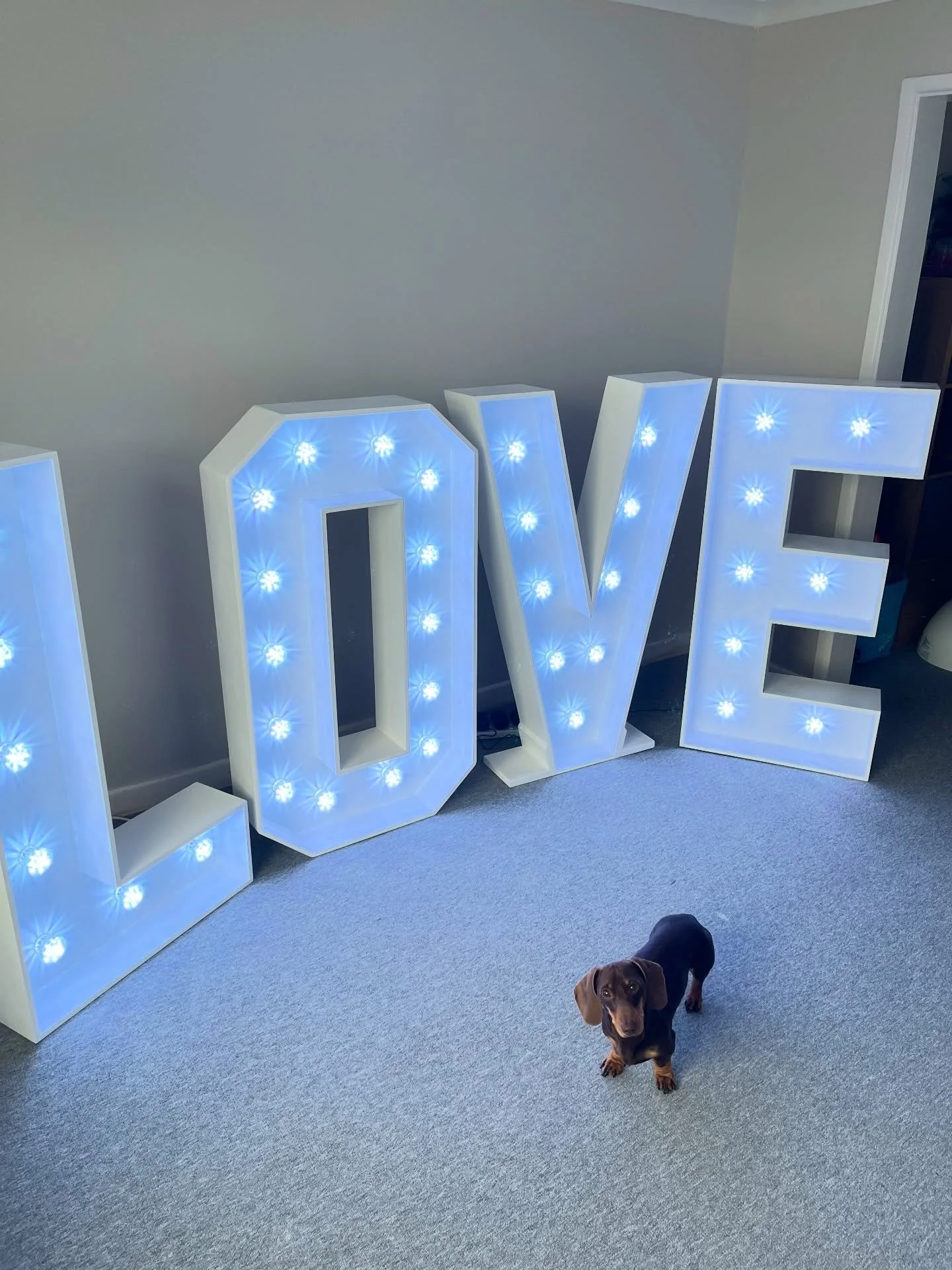 Monthly checks in progress&hellip; under the strict supervision of my furry friend 😂🐾

#familybusiness 
#petonduty
#weddings
#essex
#LOVE