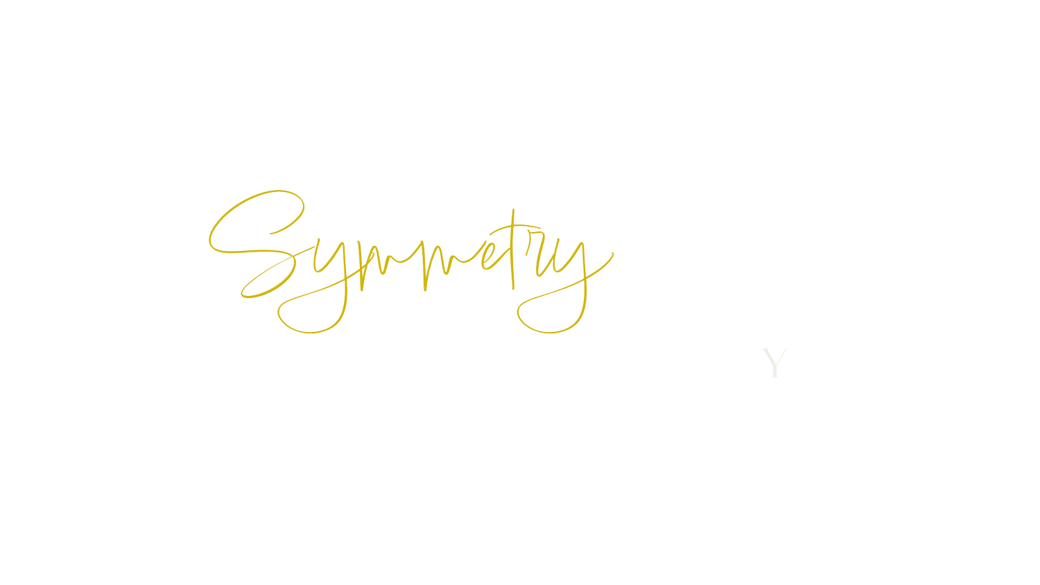 Symmetry Wedding Videography