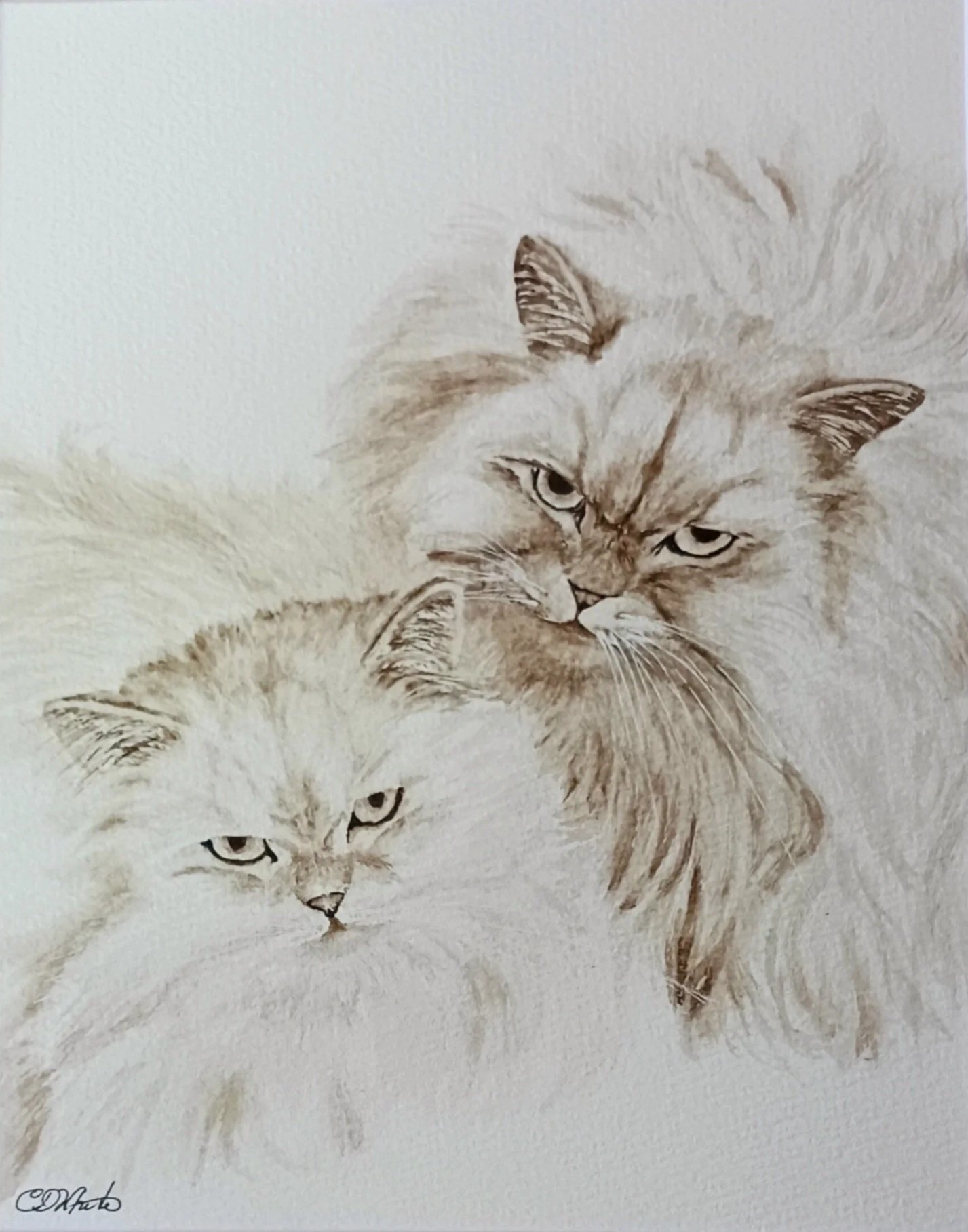 Drawing of three long-haired cats with piercing eyes and fluffy fur, arranged closely together.