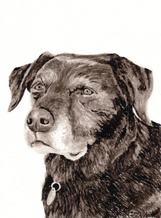 A detailed black-and-white portrait of a dog with a solemn expression, focusing on its face and upper body.