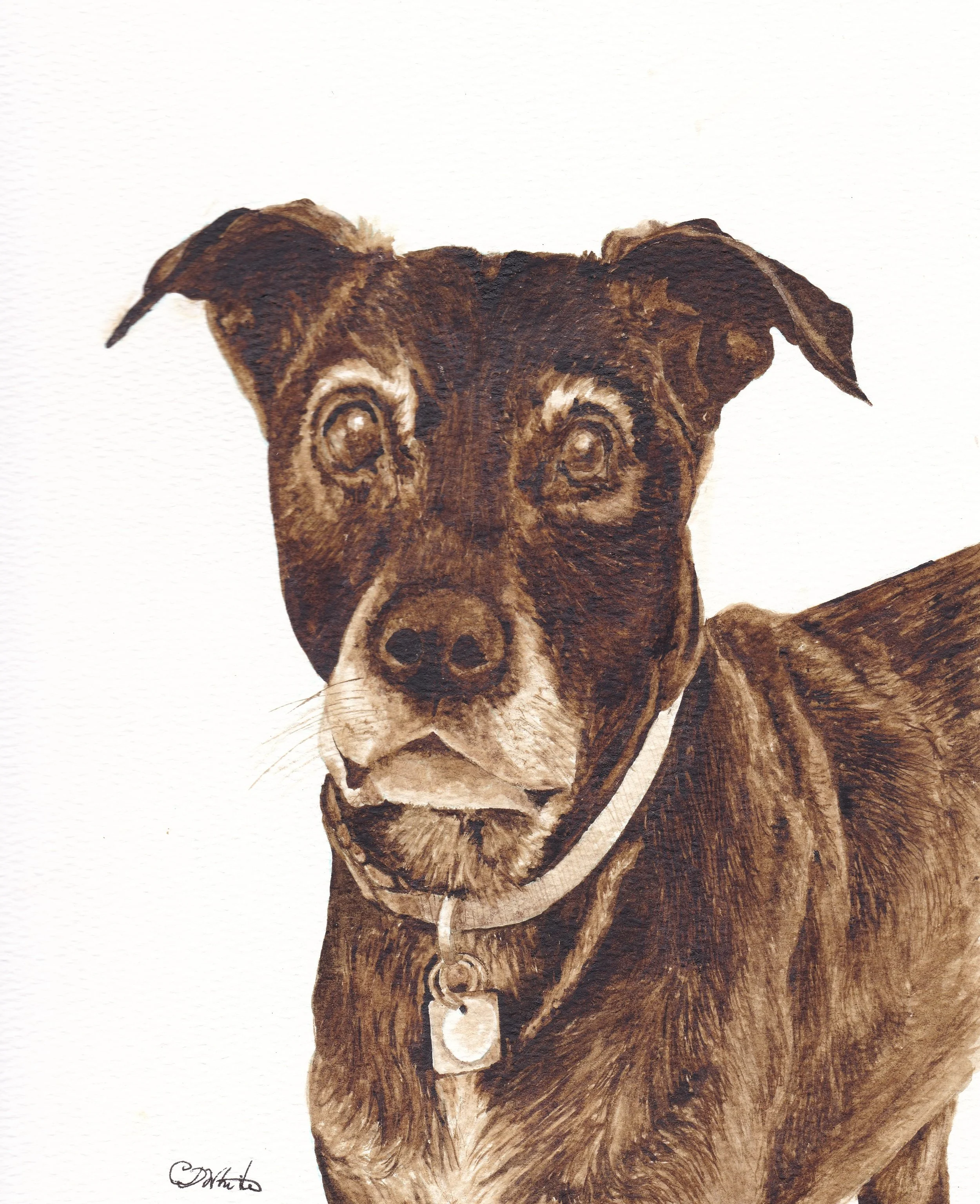 HamptonDog Scan.jpg