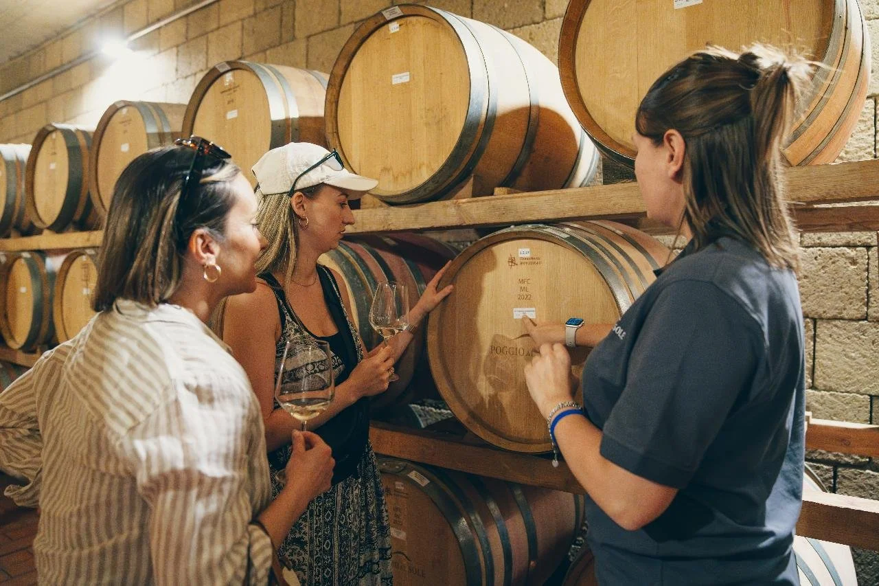 Three women taste wine and discuss in a wine cellar with wooden barrels in the background.