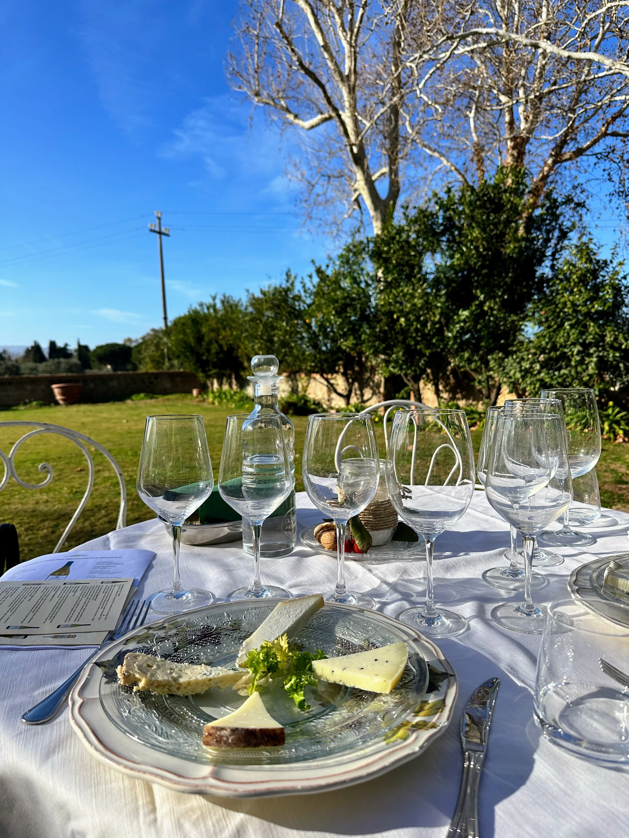 A table set outdoors with multiple wine glasses, a glass decanter, a cheese plate, silverware, and a menu, under a clear blue sky with trees and a utility pole in the background.