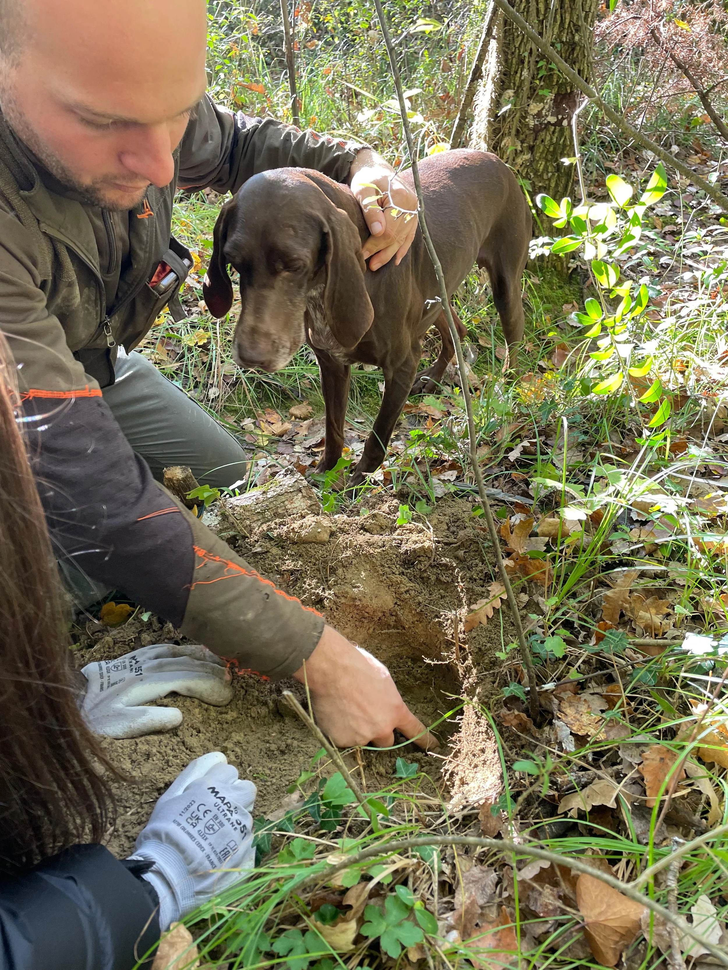 Two people and a dog in a forest, one person digging in the dirt while the dog looks on.