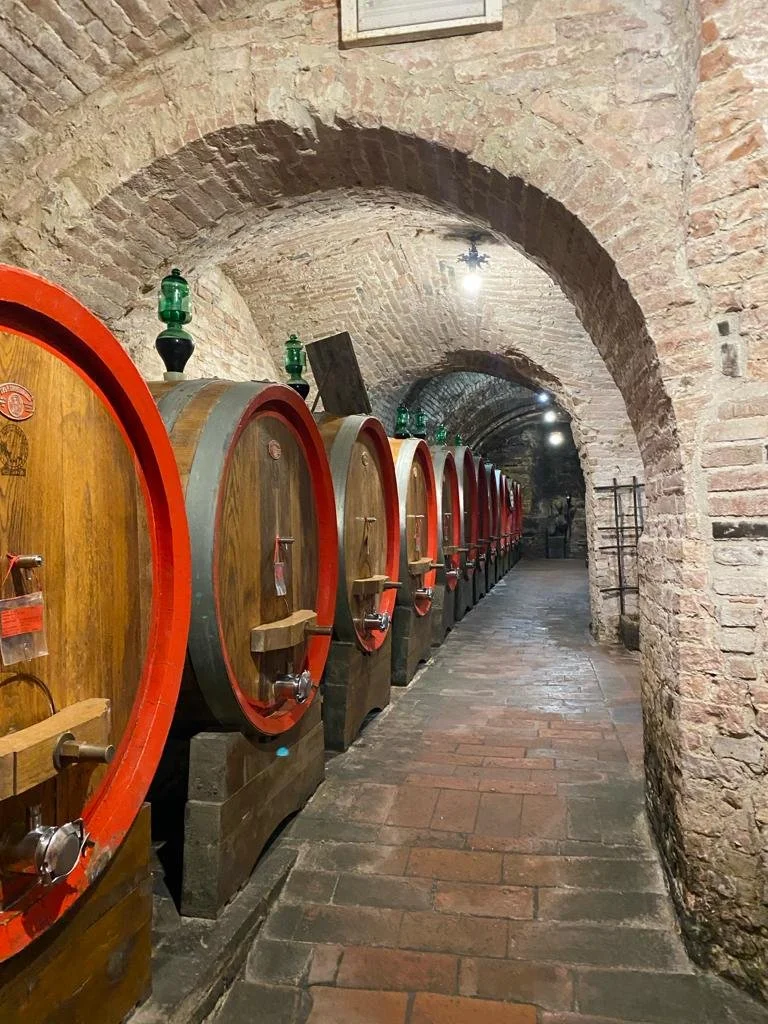 Row of large wine fermentation tanks inside a brick wine cellar with arched ceiling.