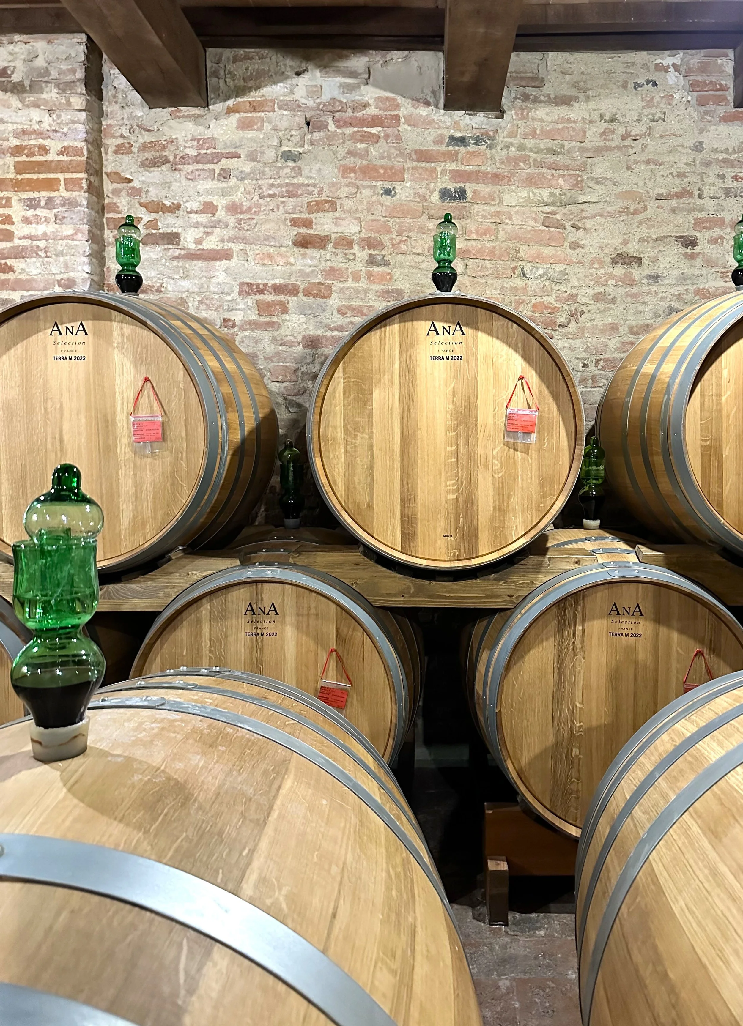 Several wooden wine barrels stacked in a cellar with brick walls. Some barrels have decorative green glass bottles on top and small red tags hanging on them.