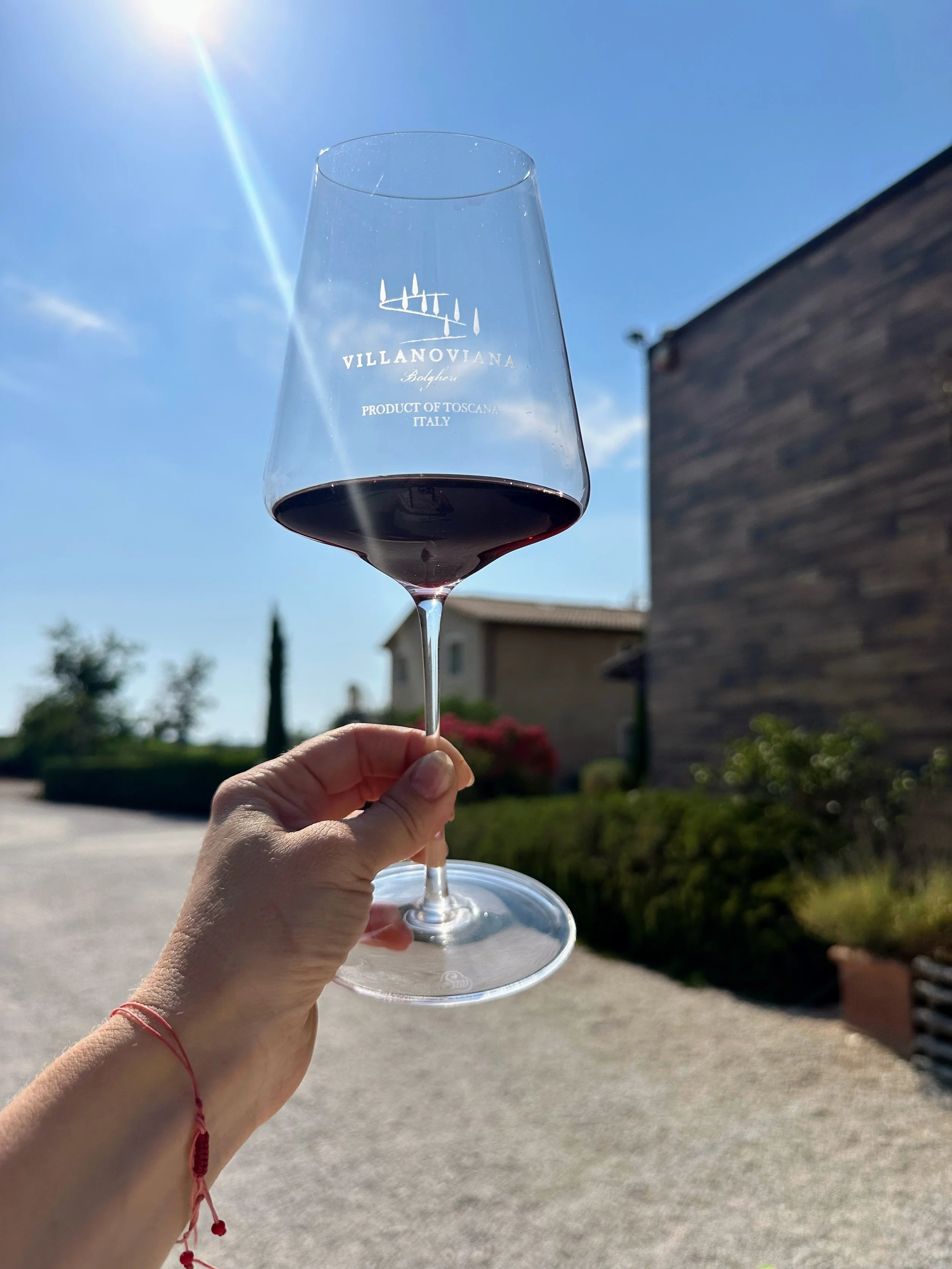 Hand holding a glass of red wine outdoors with a clear blue sky and sunlight shining, in front of a house and greenery.