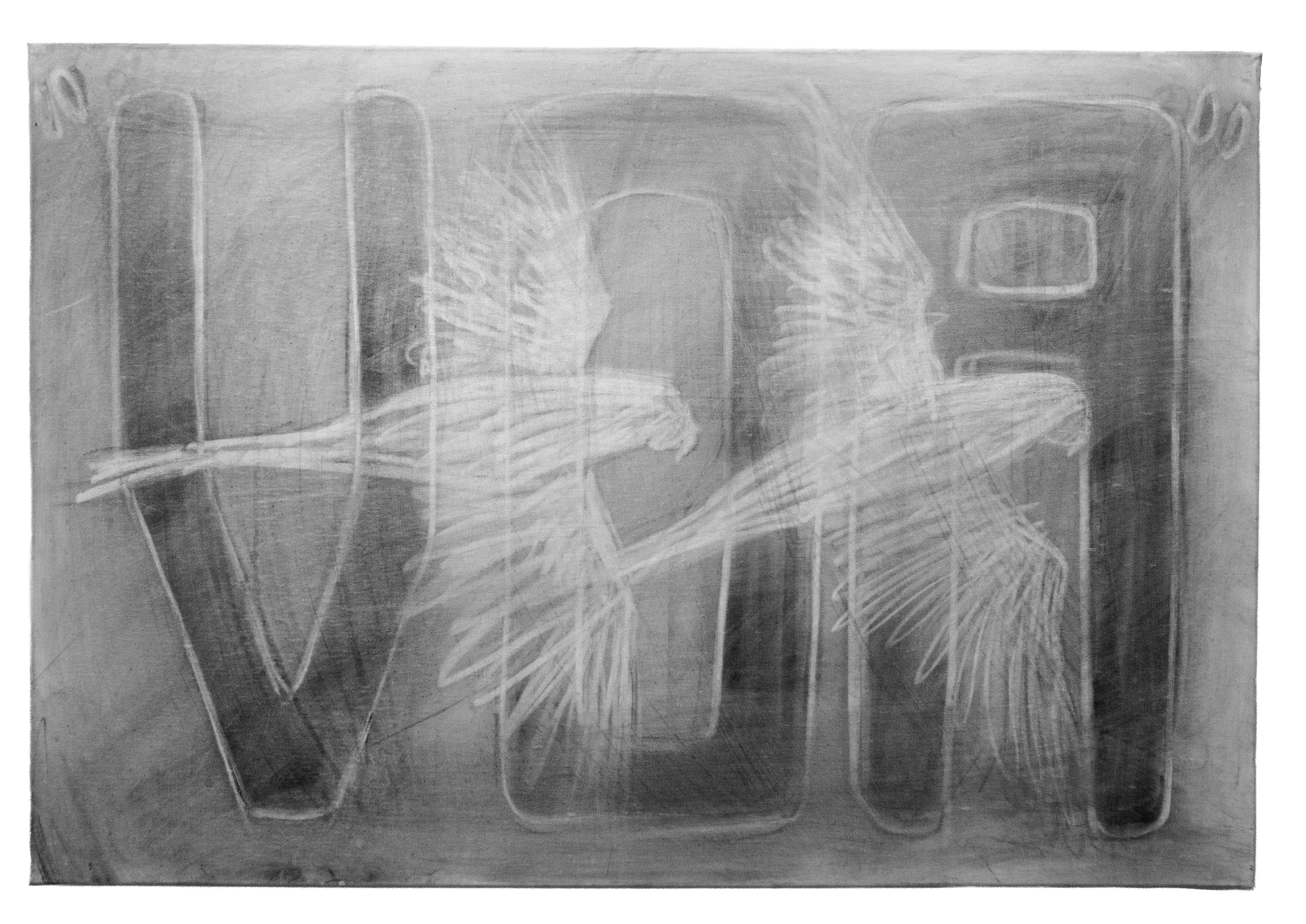 Voa enquanto consegues, carvão s/tela, 100 cm x 70 cm