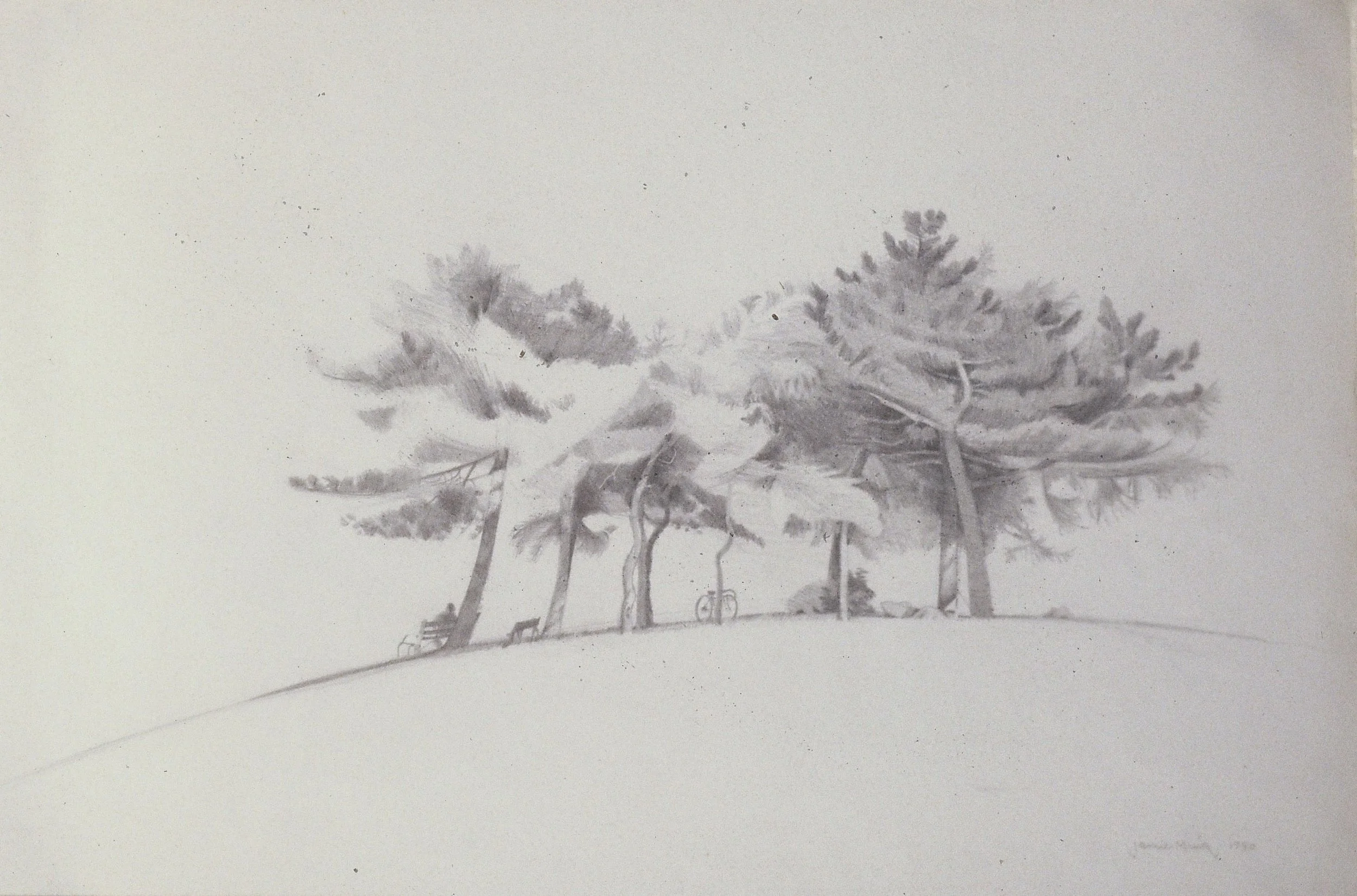 Dog beneath pines-NFS