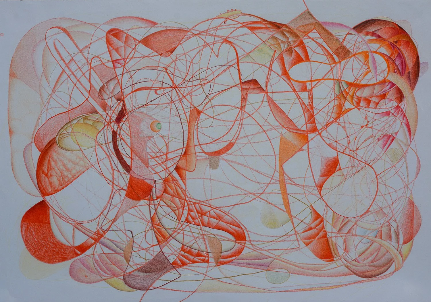 Large Colour Scribble Drawings
