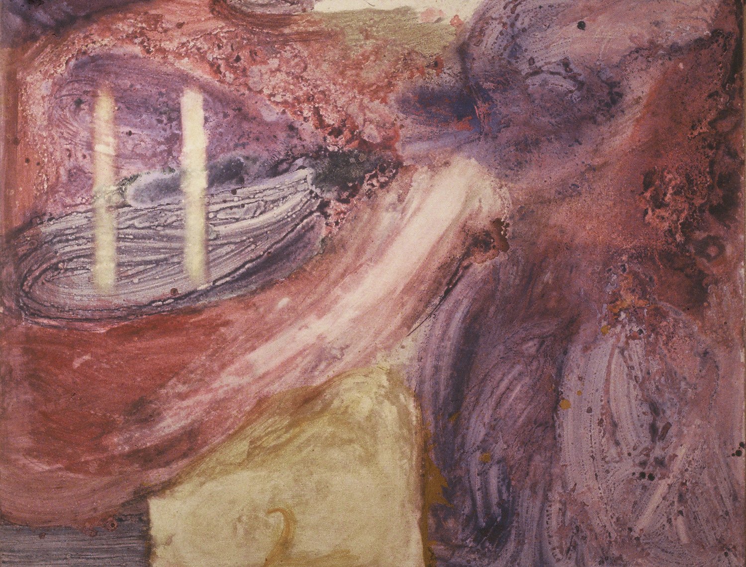 Reticulated surface-NFS.jpg