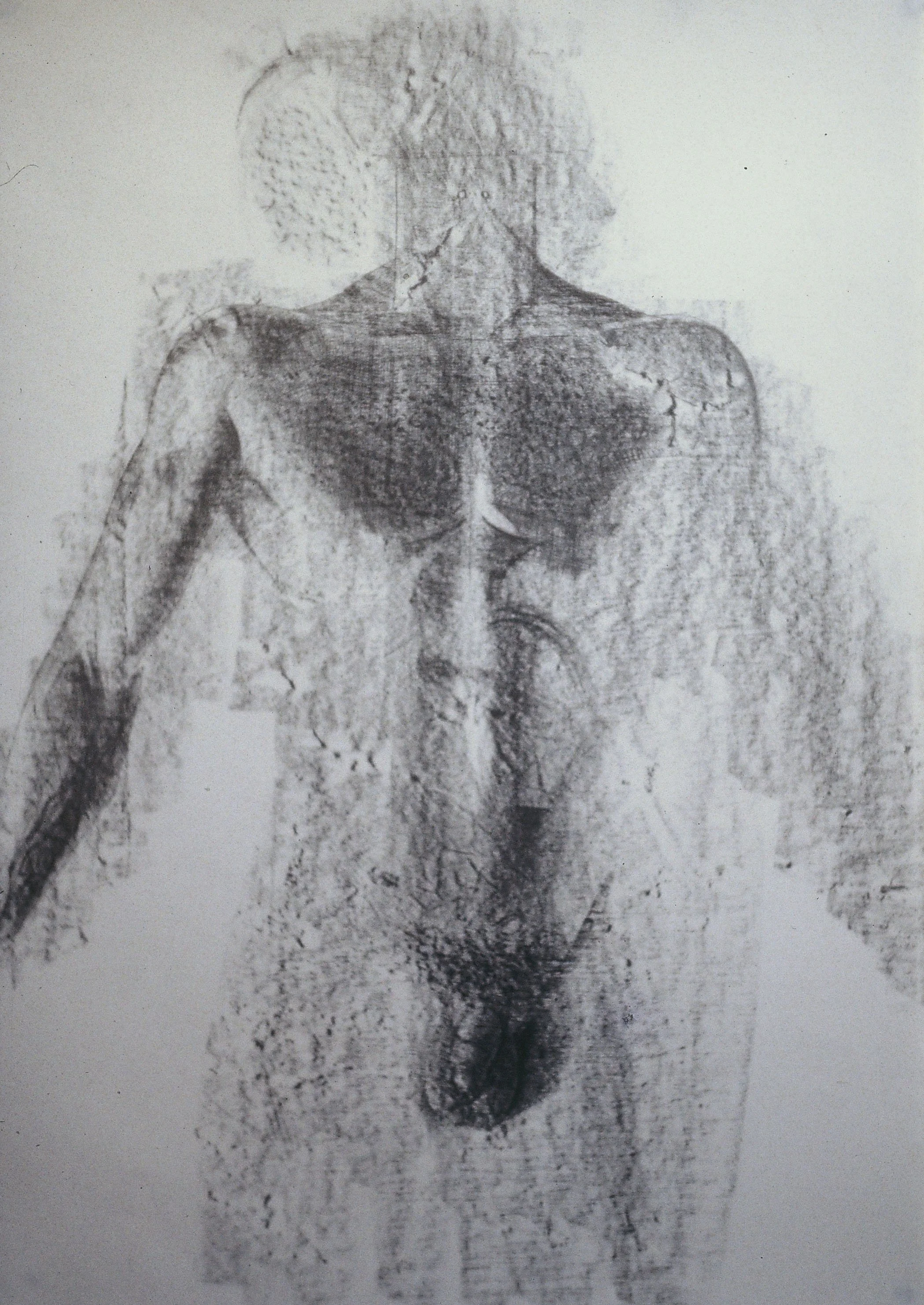 Structuralfigure-NFS