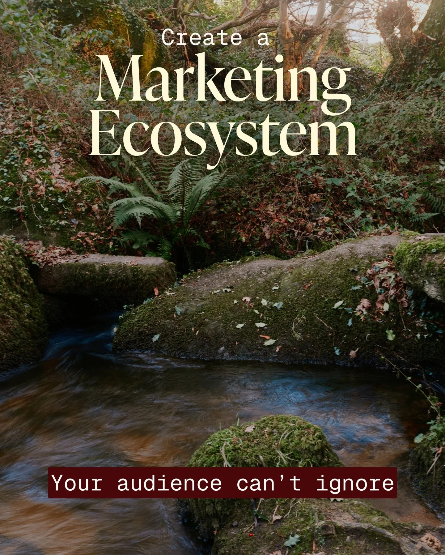 Your online ecosystem isn&rsquo;t built by posting more. 
It&rsquo;s built by constructing a world your ideas can live in.

📸 taken in a magical mossy wood on Dartmoor, Devon
