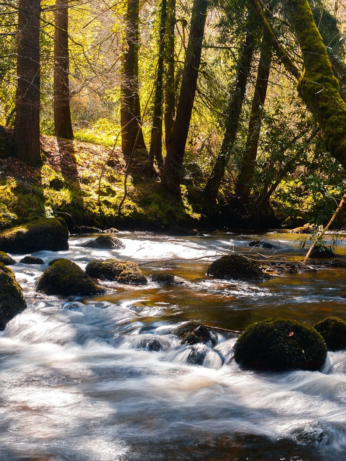 This morning I ambled down the river, camera in hand, to this delicious spot. 

Headphones came out. 

Phone went on silent. 

And my mental inbox switched off. 

What a blissful way to start the day.