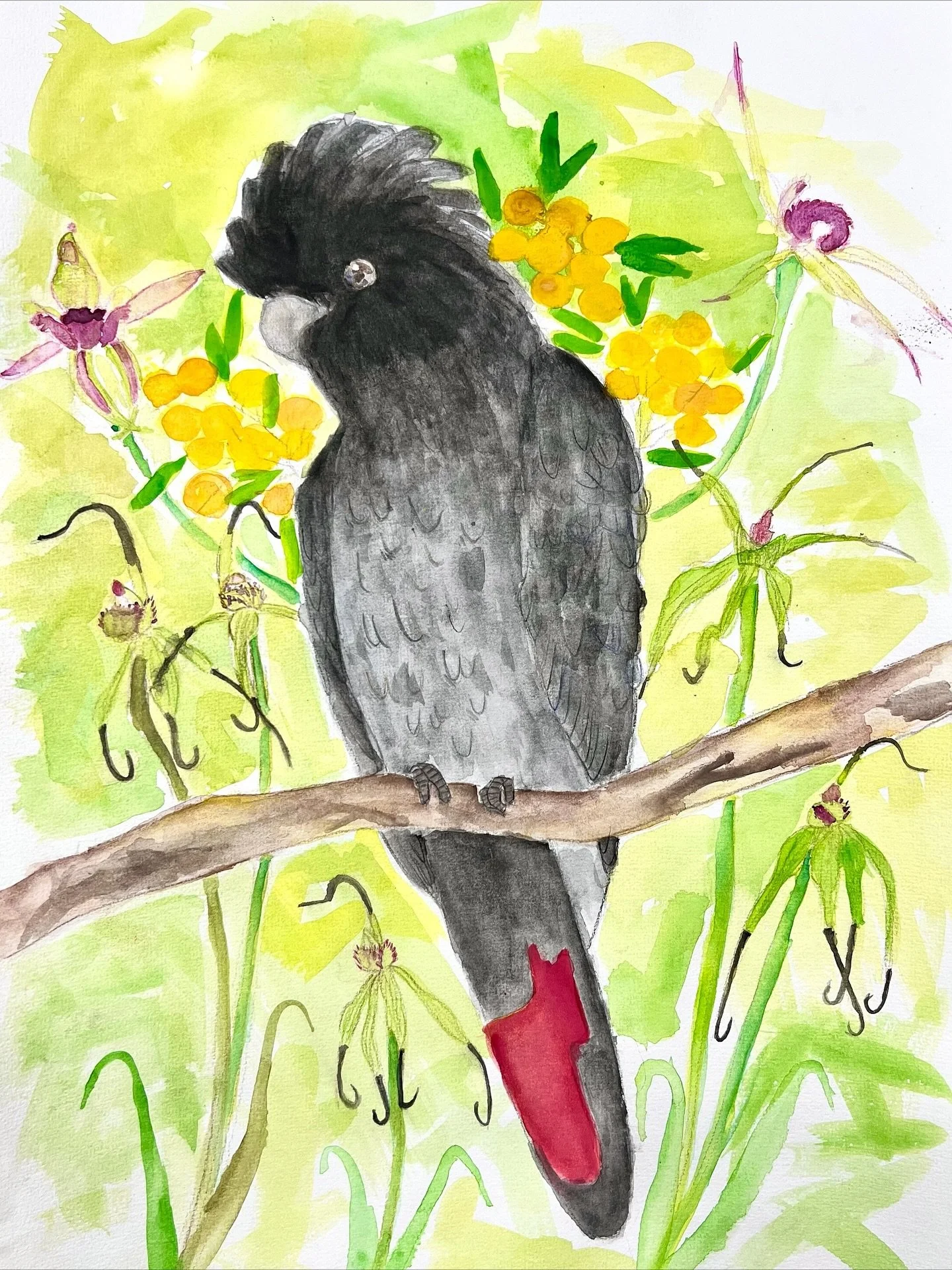 A little collection of our endangered Australian wildlife artworks 🐸🦜🦋

One of these has been selected as a finalist in Wild at Art- Australia&rsquo;s biggest wildlife art competition. Can you guess which one? 👀🎨

#cherrytreeartstudio #cherrybro