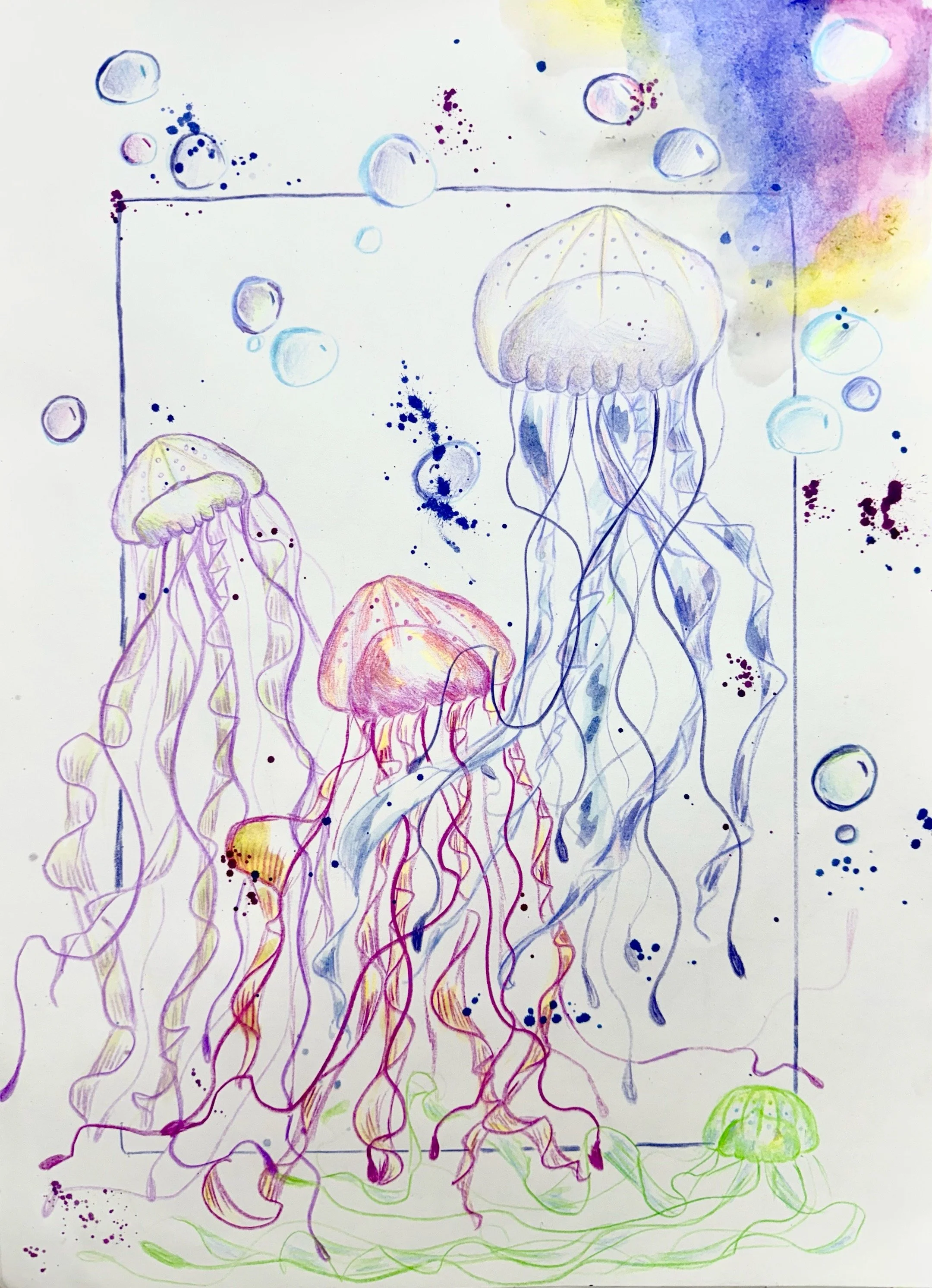 Cherry Tree Art Studio Cherrybrook Jellyfish Art2.JPG
