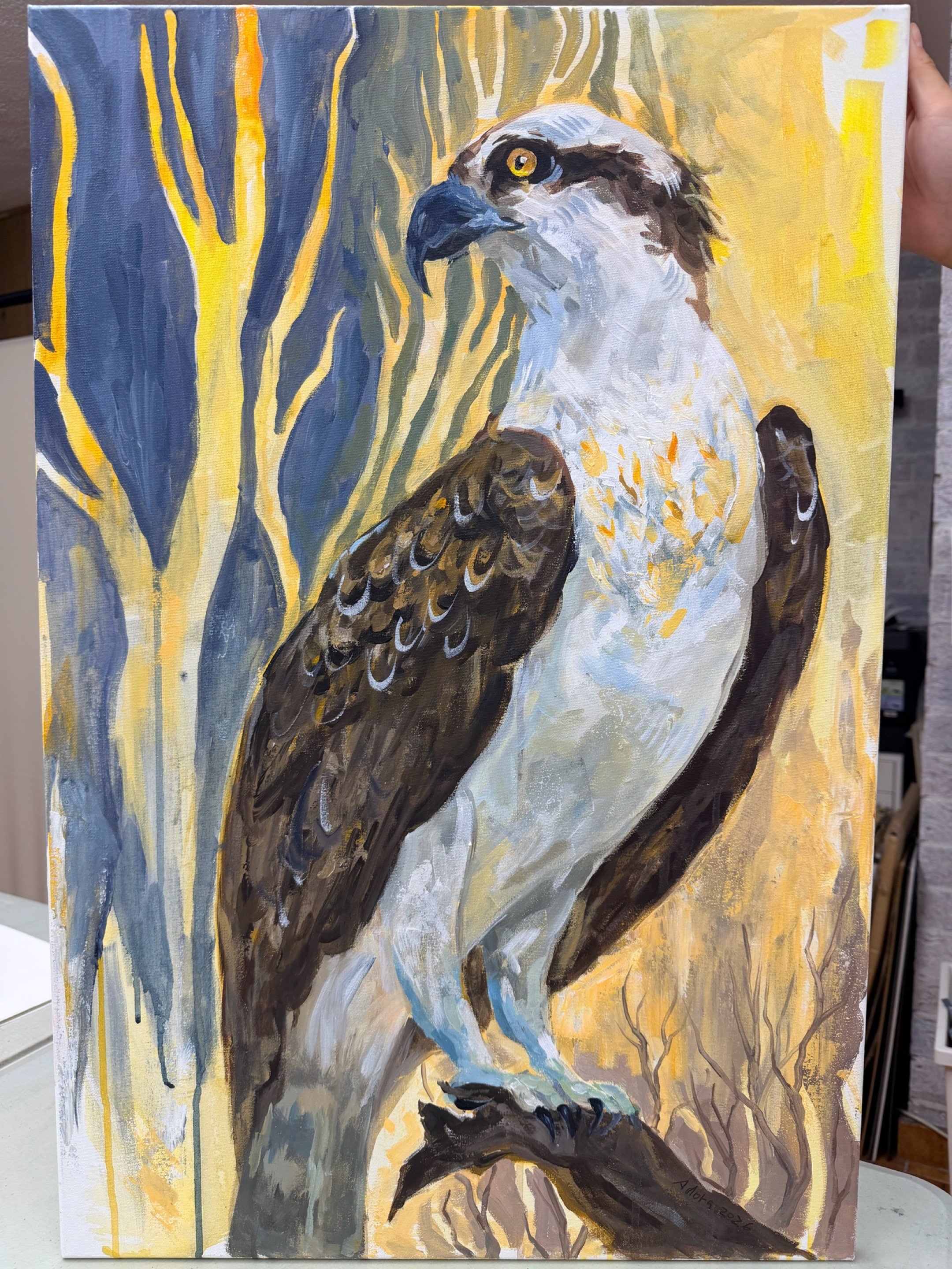 Cherry Tree Art Studio Cherrybrook1.JPG