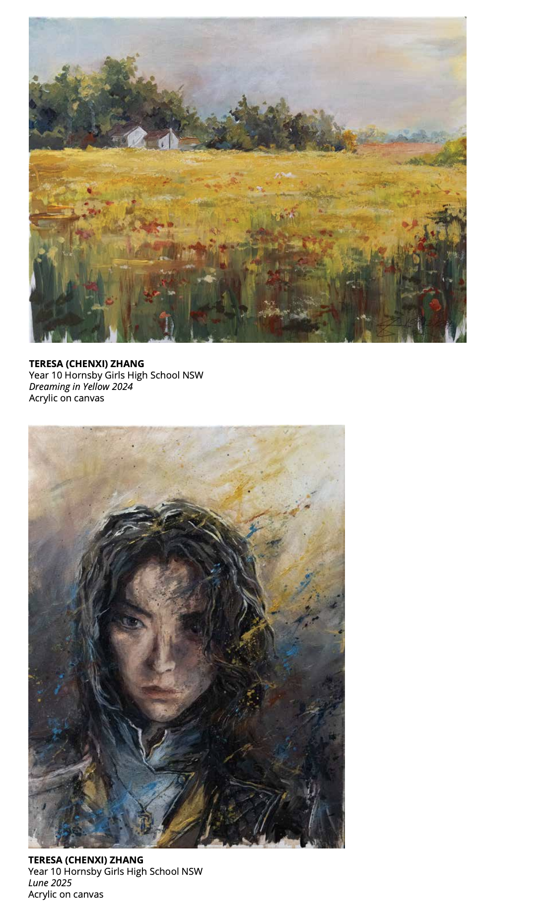 St Columbia's Art prize screenshot teresa.png