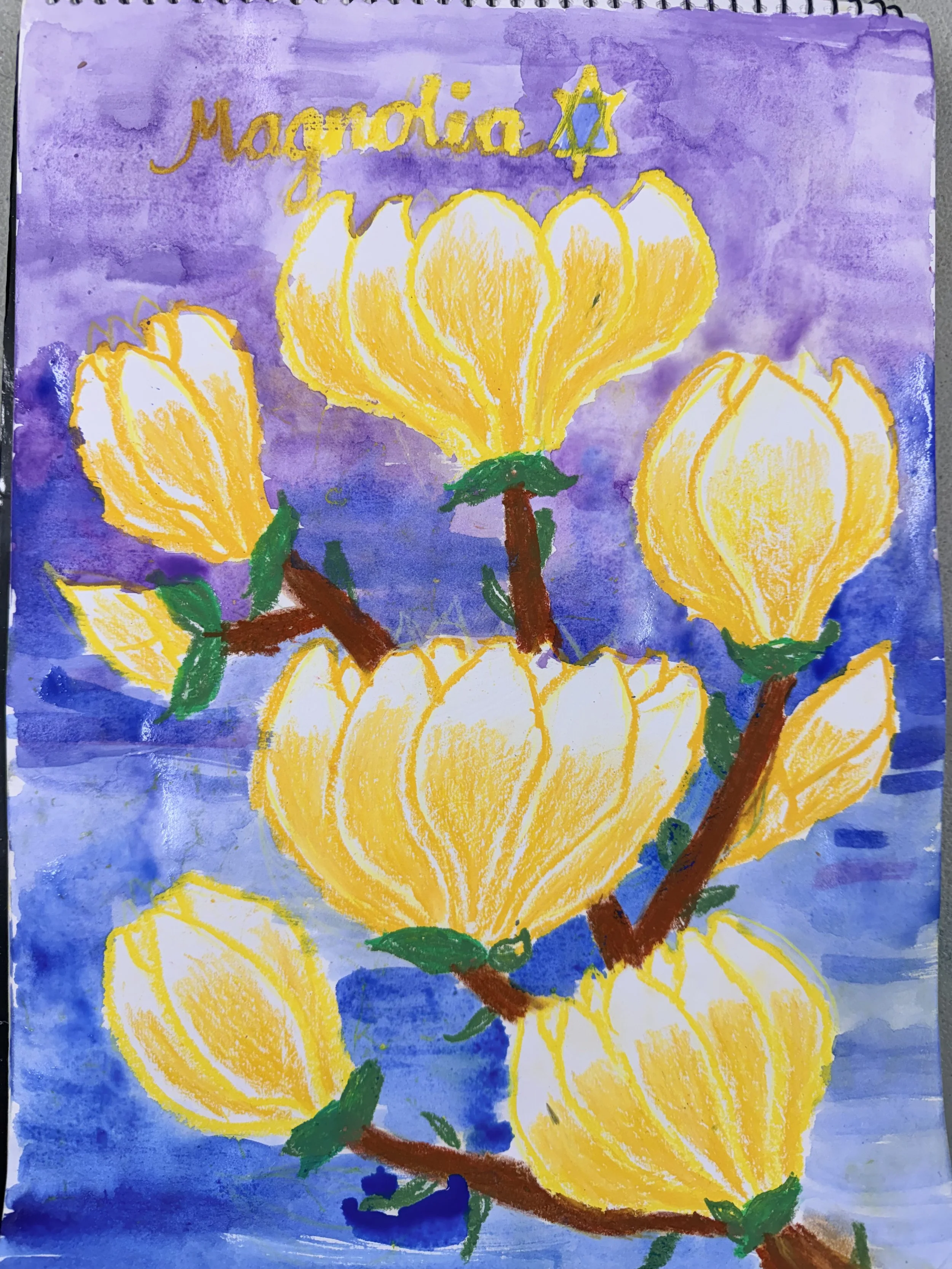 Tutor cherry tree art studio cherrybrook middle primary magnolia oil pastel watercolour.JPG
